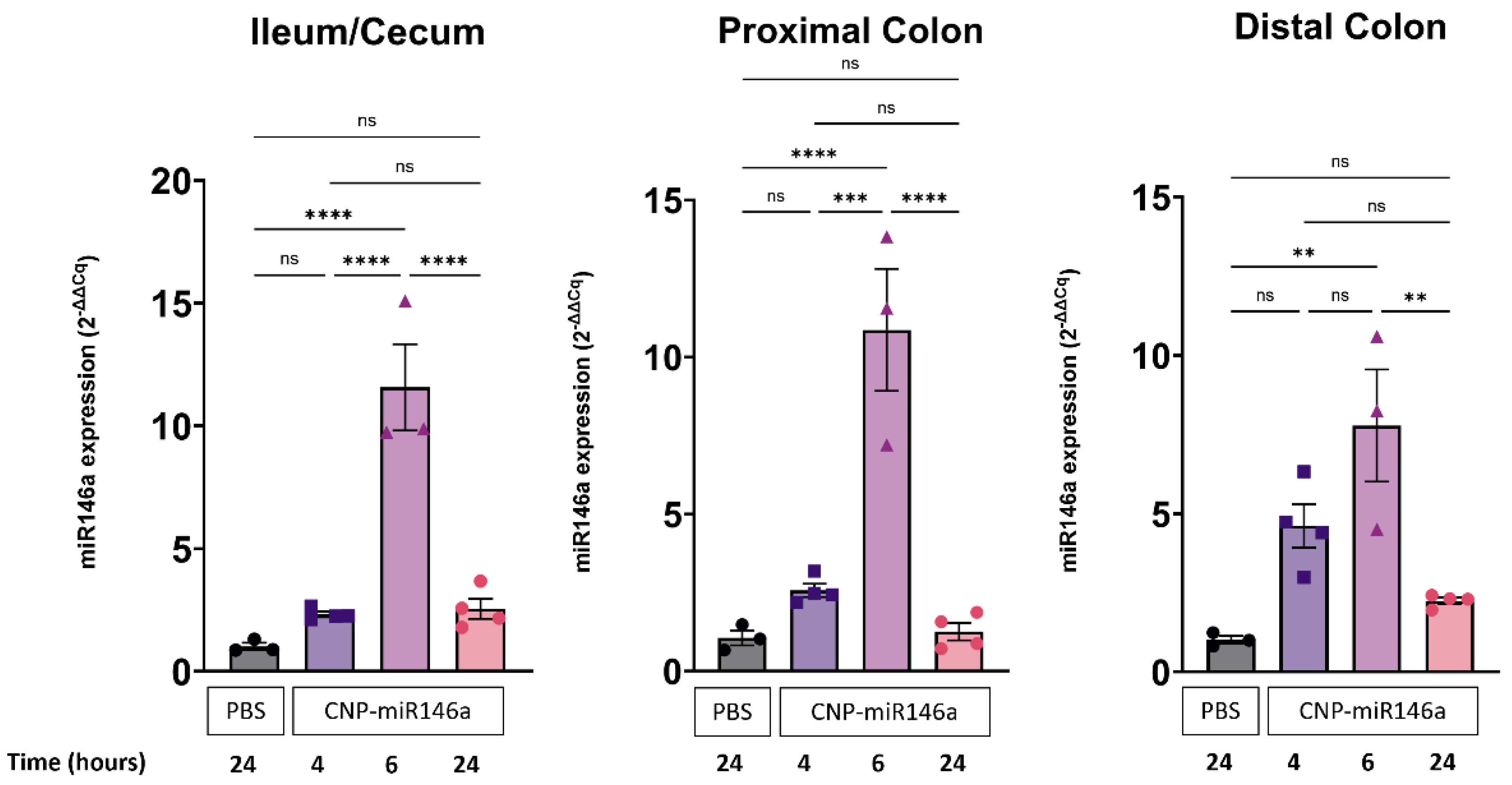 Pharmaceutics 16 01573 g002 Pharmaceutics 16 01573 g002