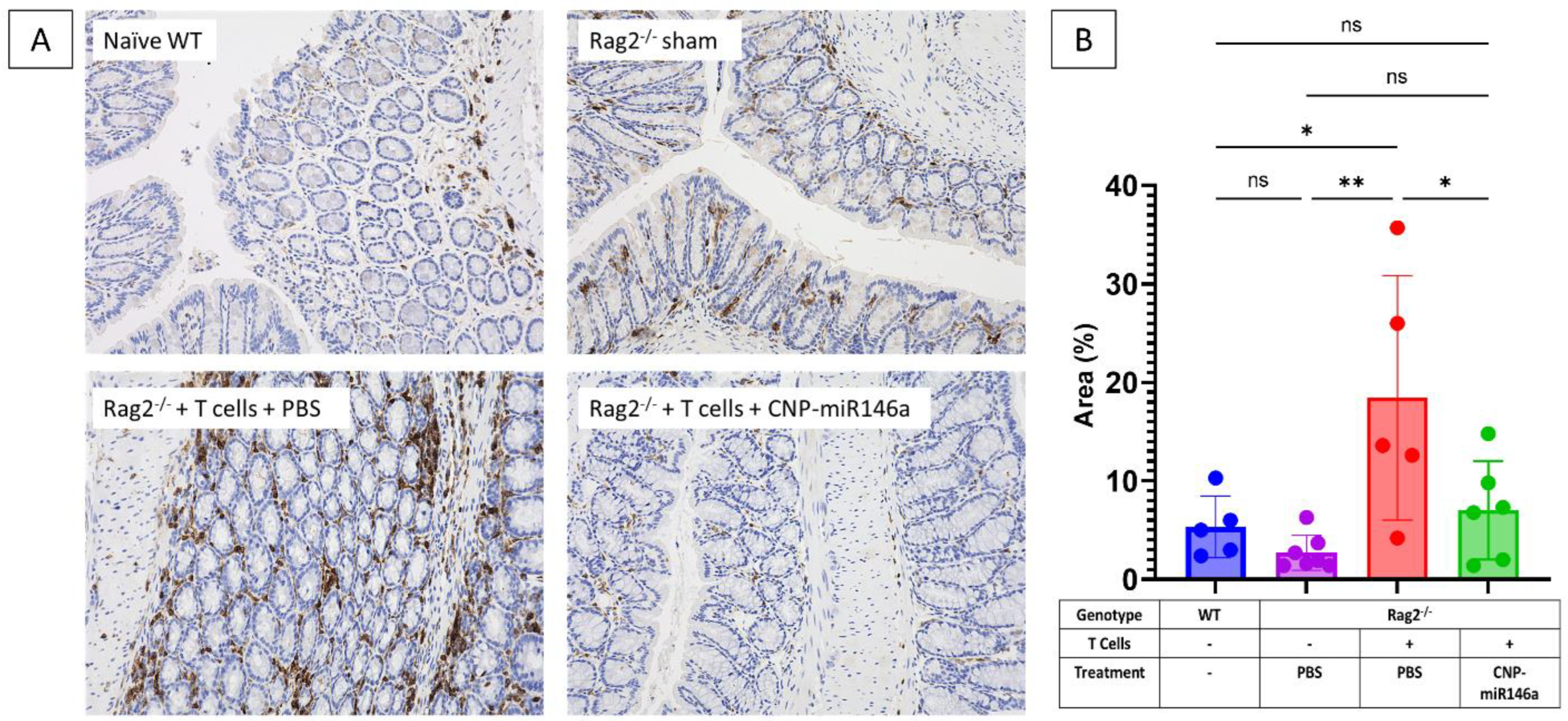 Pharmaceutics 16 01573 g005 Pharmaceutics 16 01573 g005