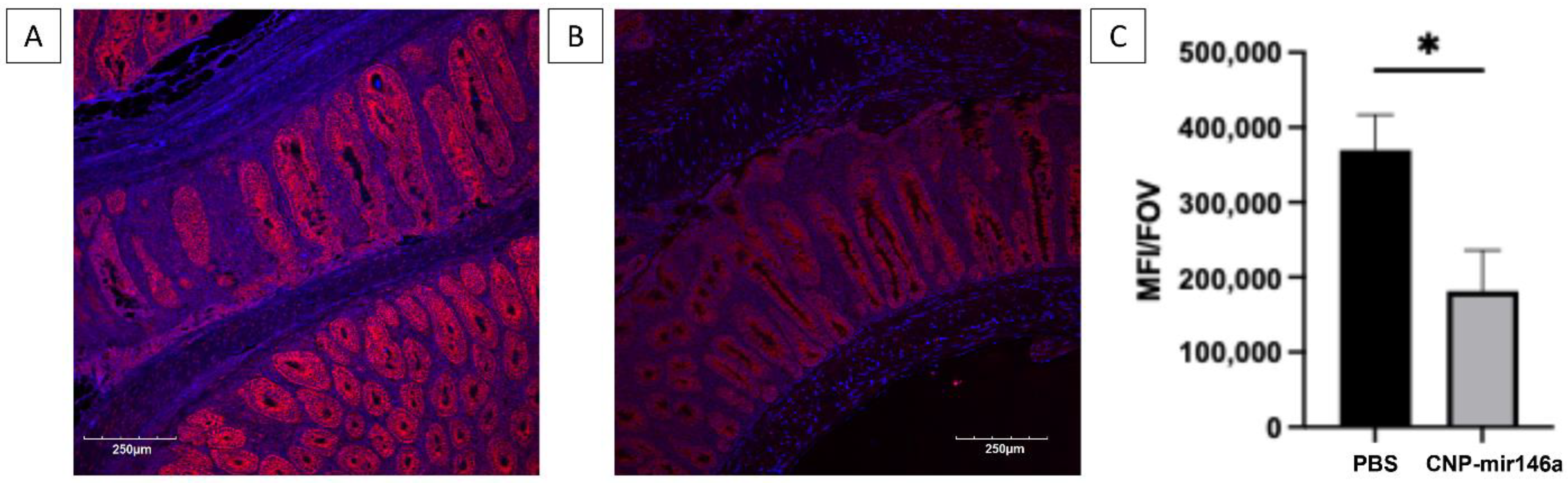 Pharmaceutics 16 01573 g006 Pharmaceutics 16 01573 g006