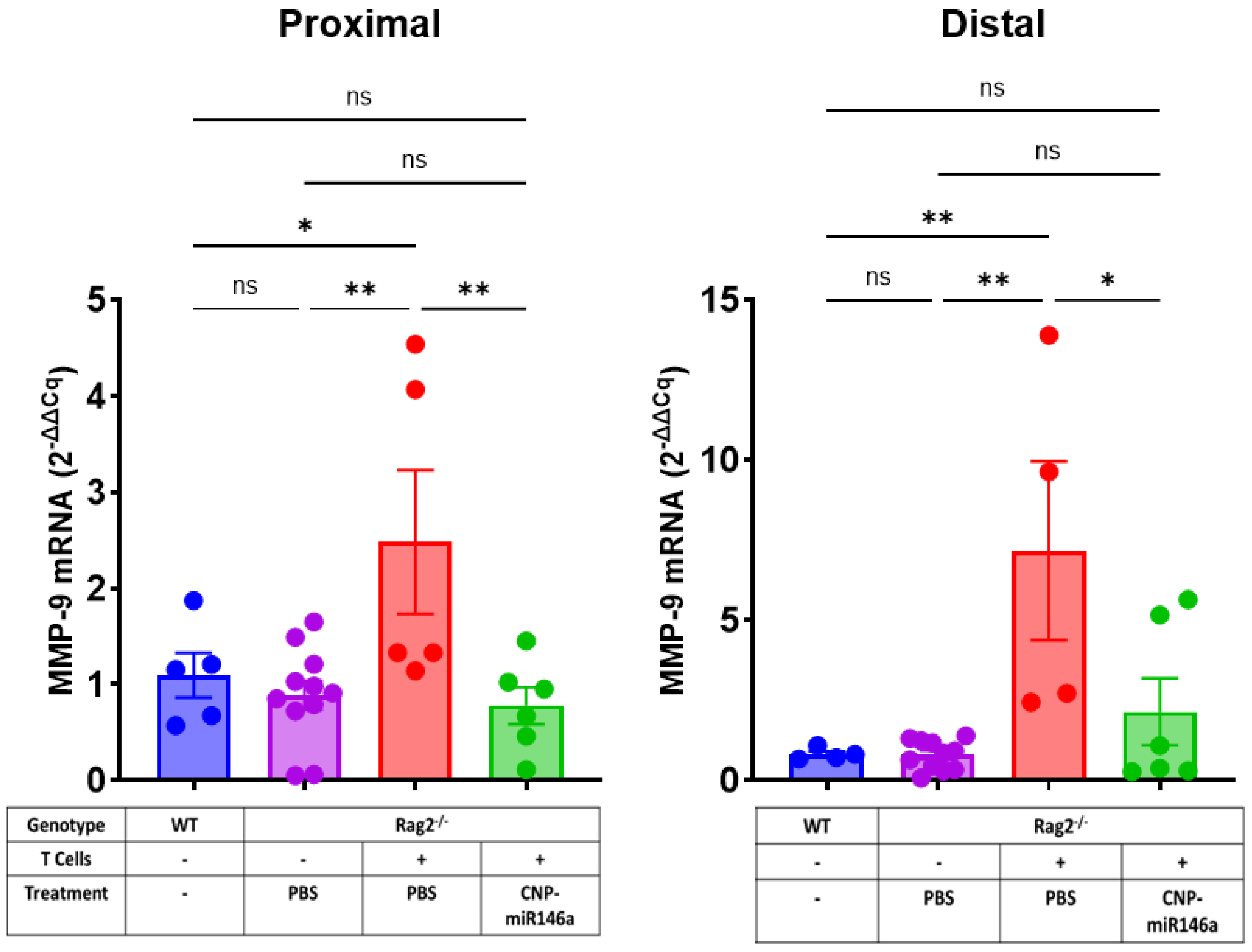 Pharmaceutics 16 01573 g008 Pharmaceutics 16 01573 g008