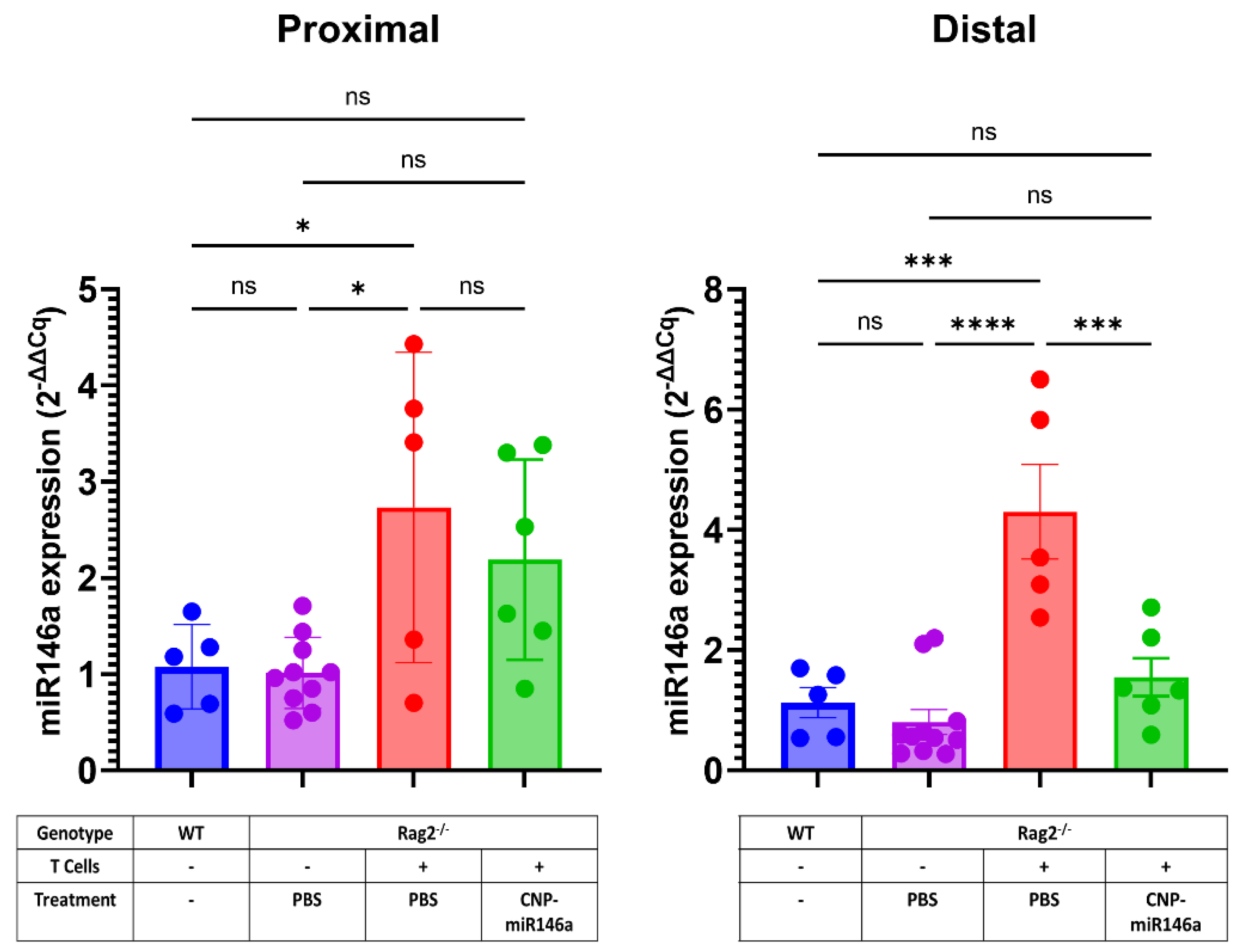 Pharmaceutics 16 01573 g010 Pharmaceutics 16 01573 g010