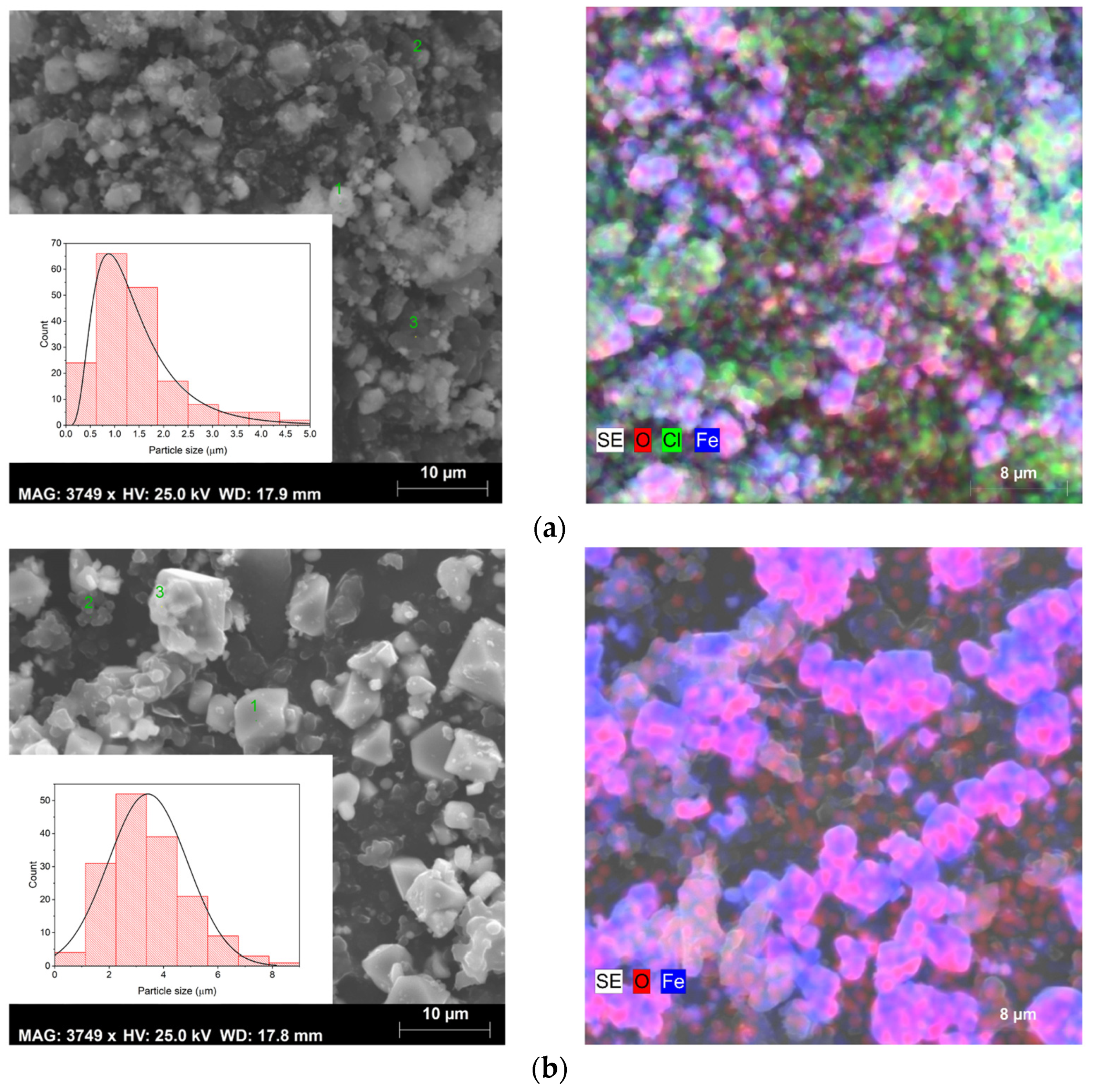 Pharmaceutics 16 01578 g005a Pharmaceutics 16 01578 g005a