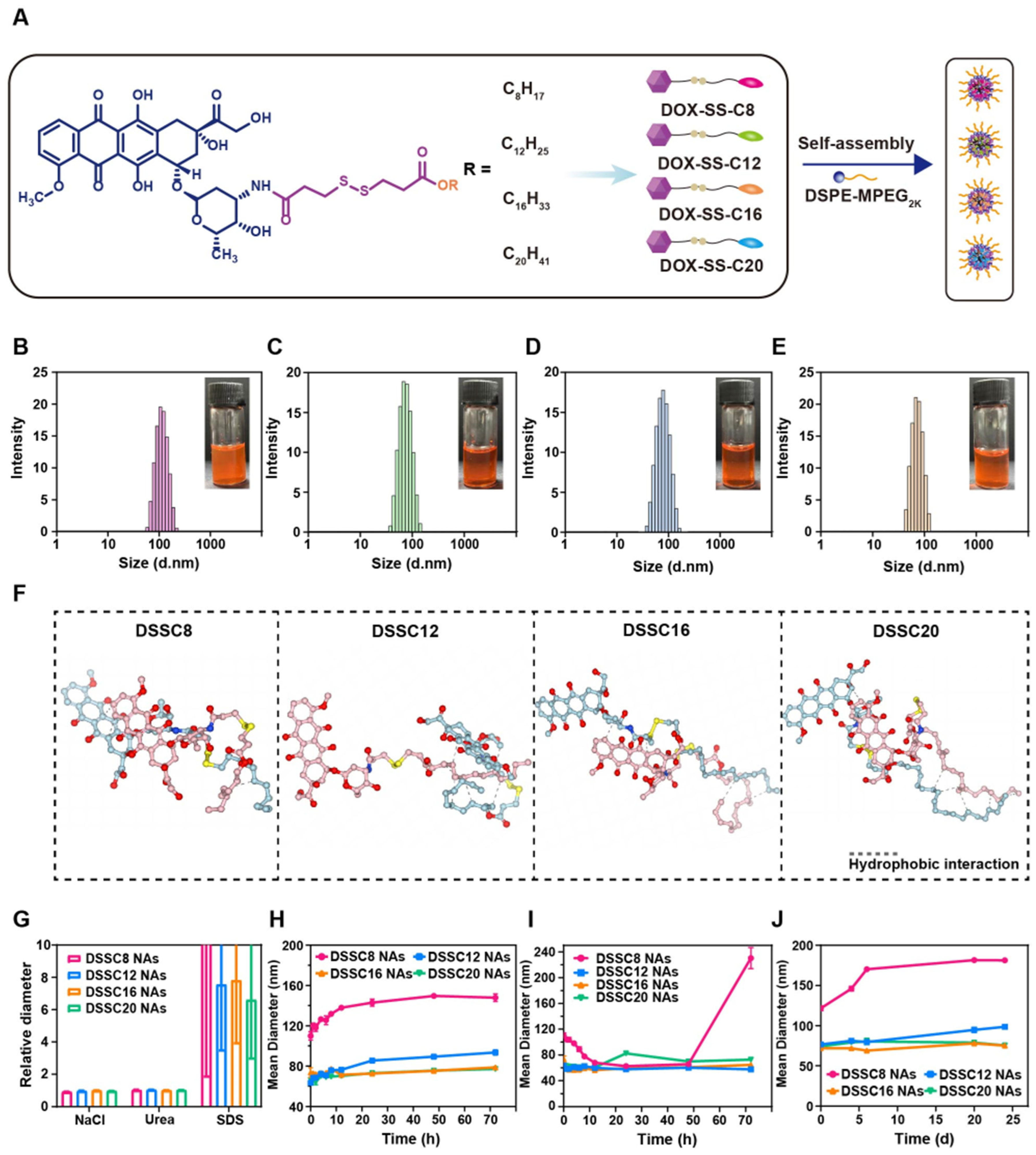 Pharmaceutics 16 01582 g001