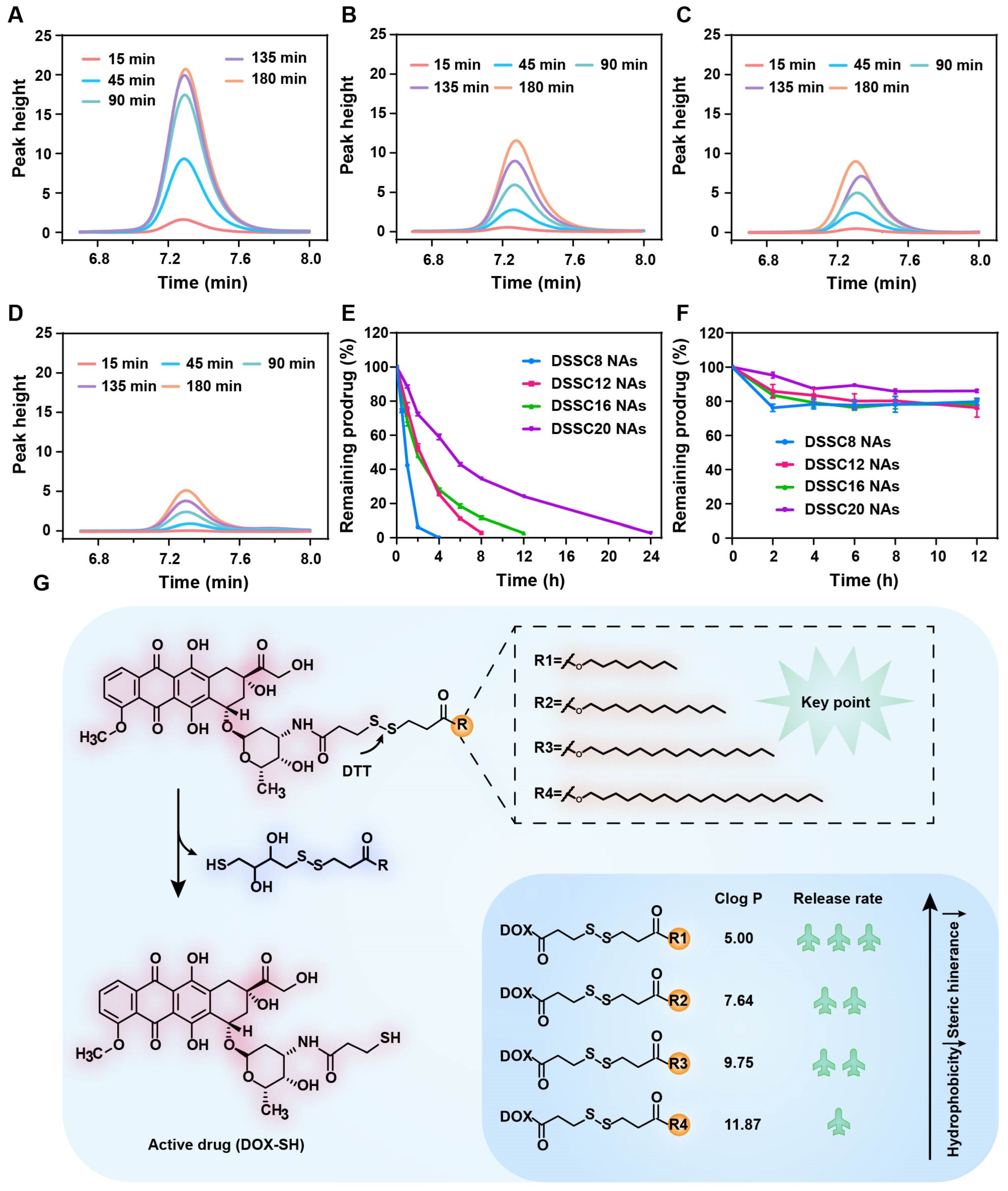 Pharmaceutics 16 01582 g002