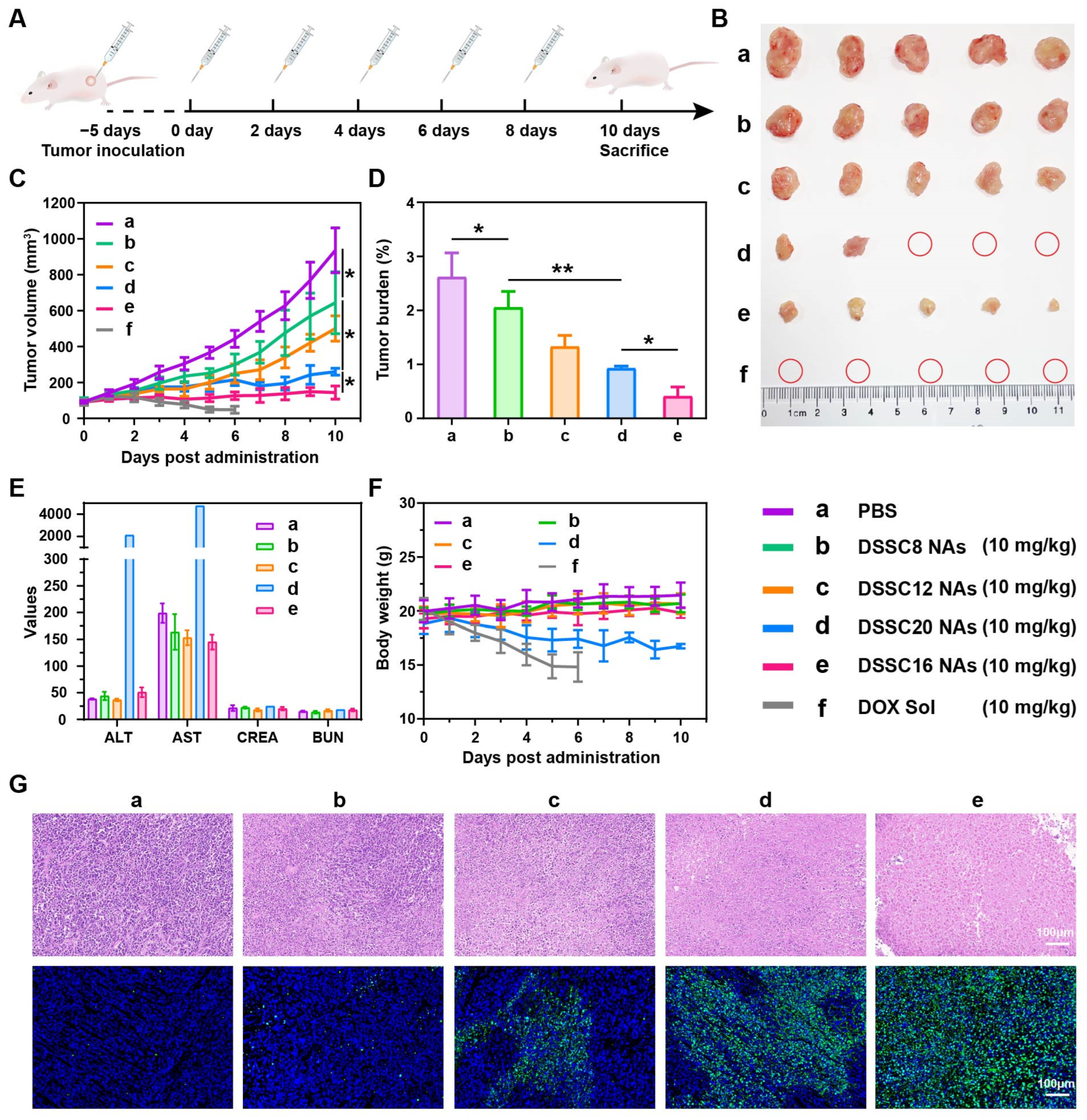 Pharmaceutics 16 01582 g005