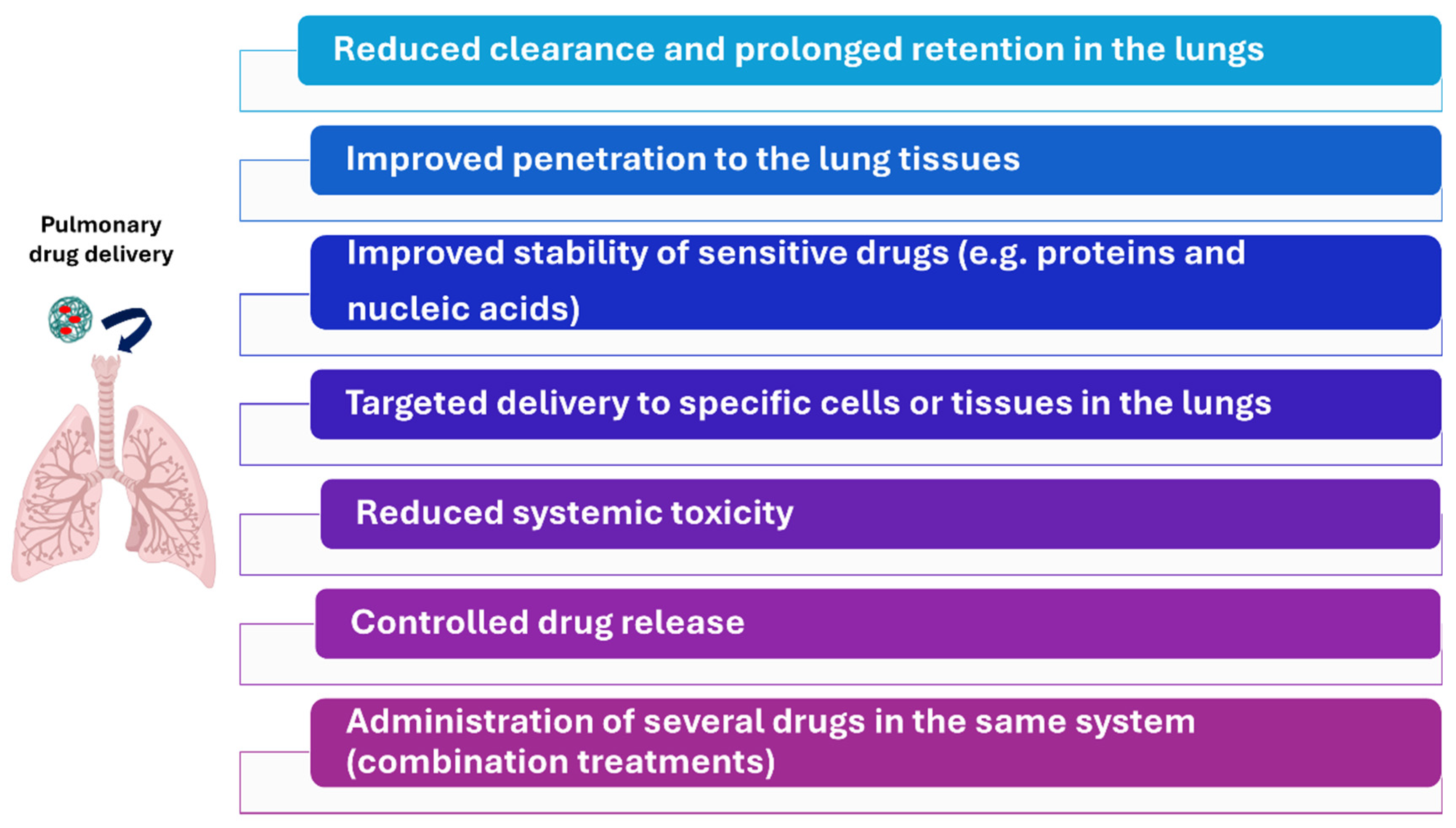 Pharmaceutics 16 01584 g002