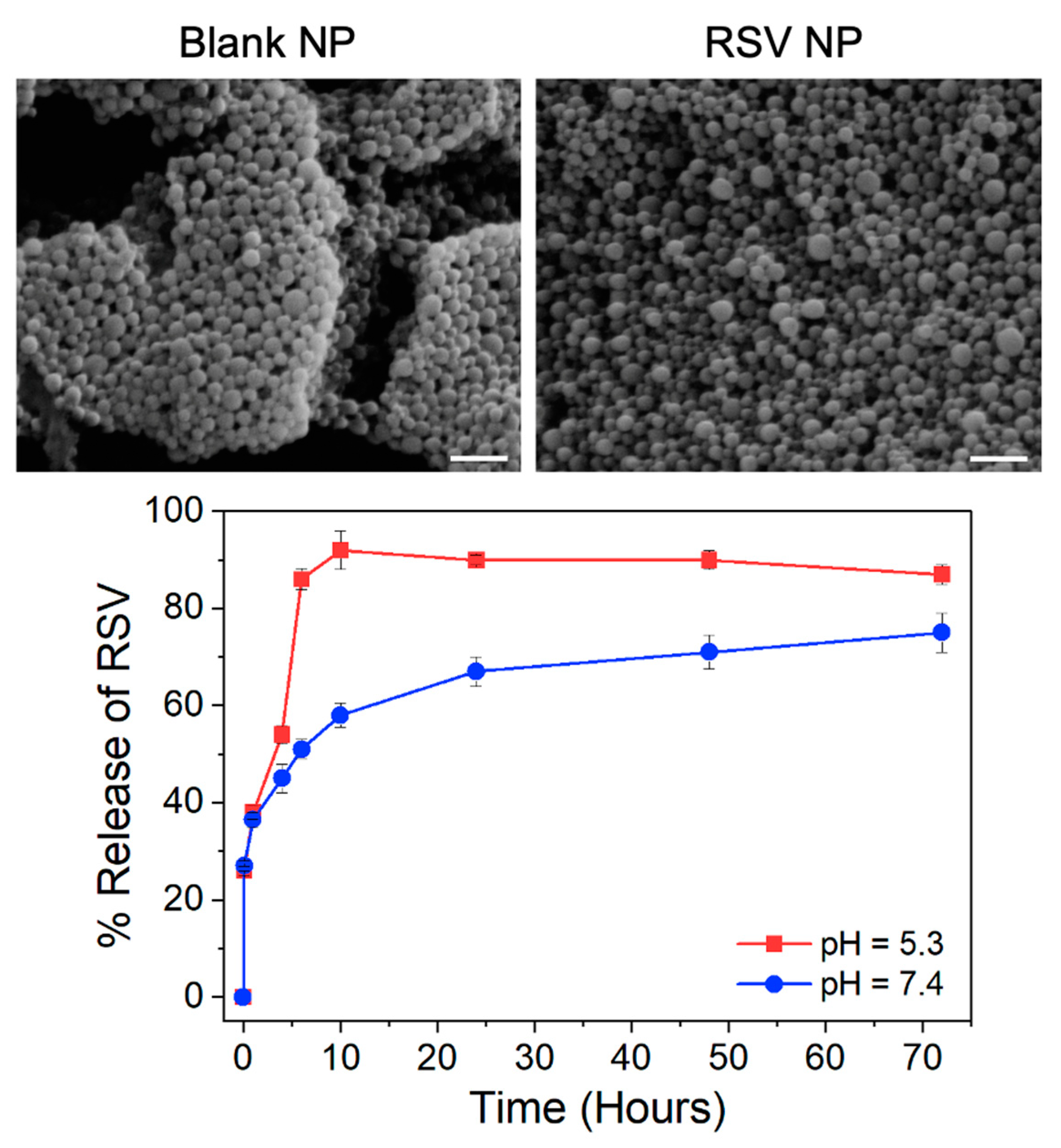 Pharmaceutics 16 01588 g001