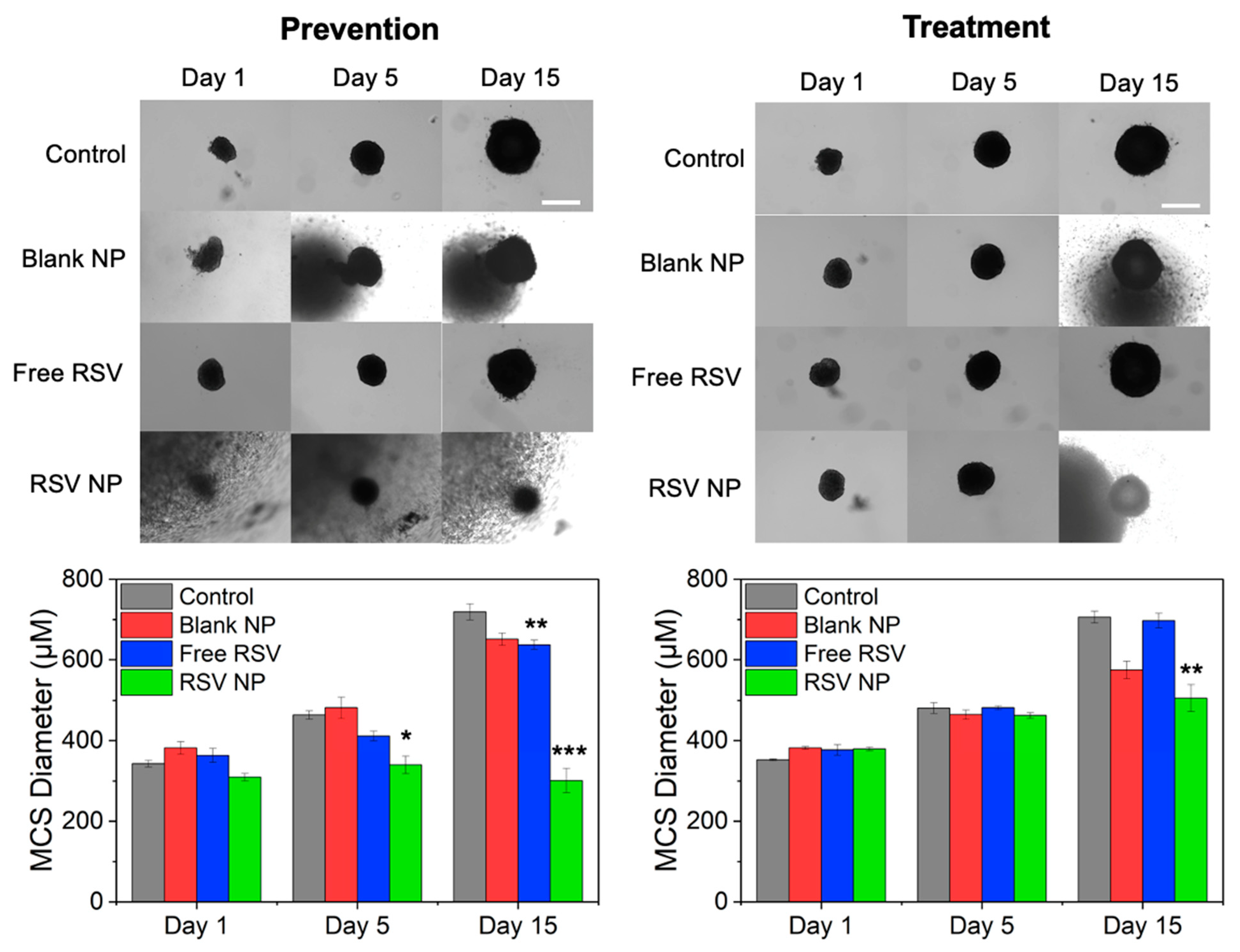 Pharmaceutics 16 01588 g006