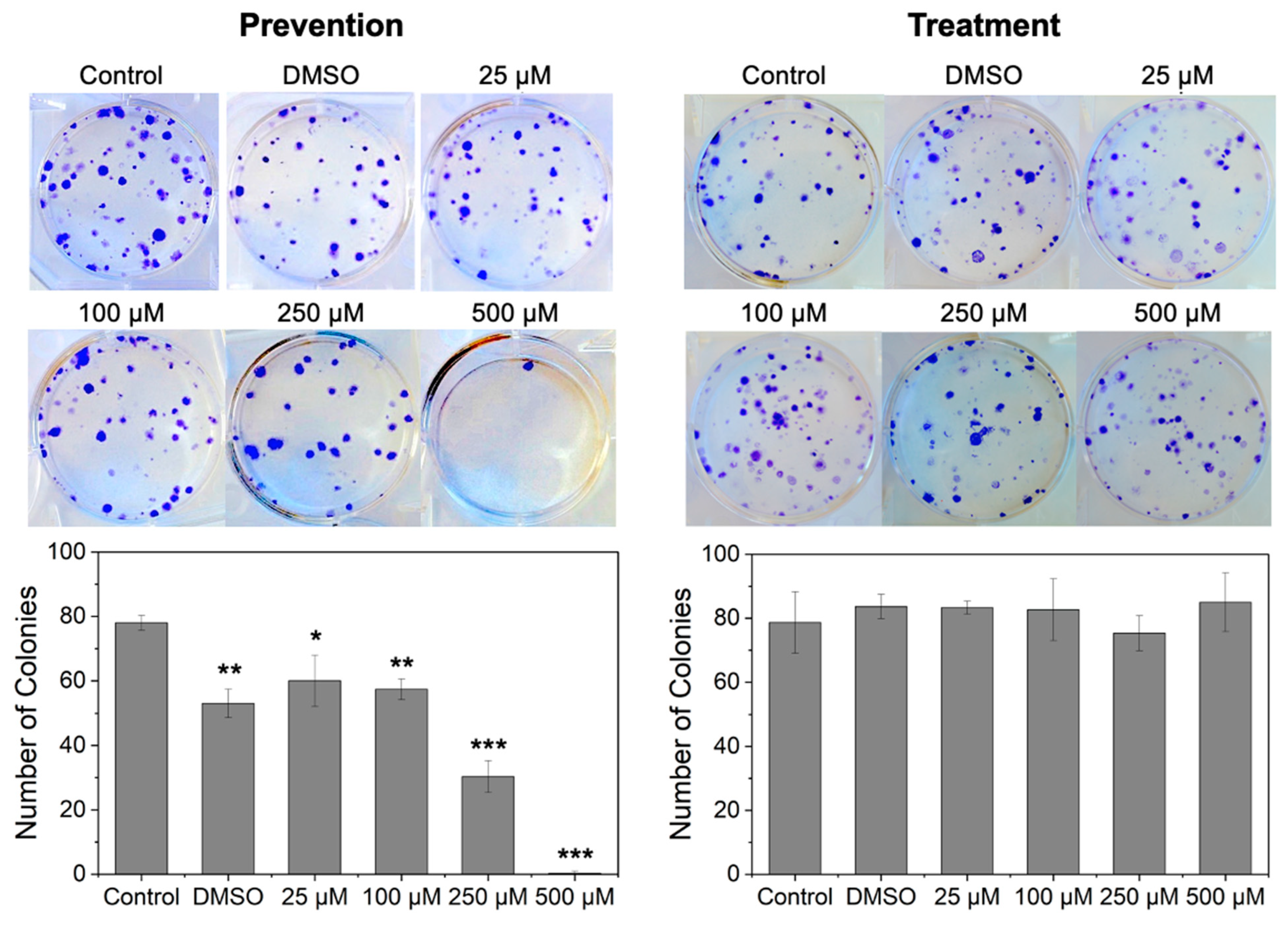 Pharmaceutics 16 01588 g007
