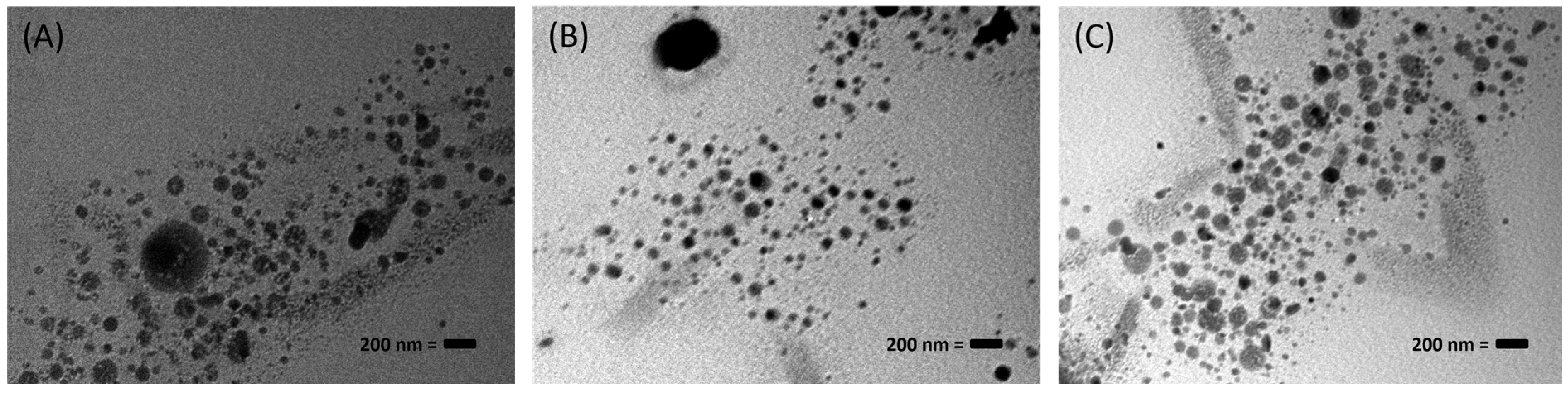 Pharmaceutics 16 01589 g001