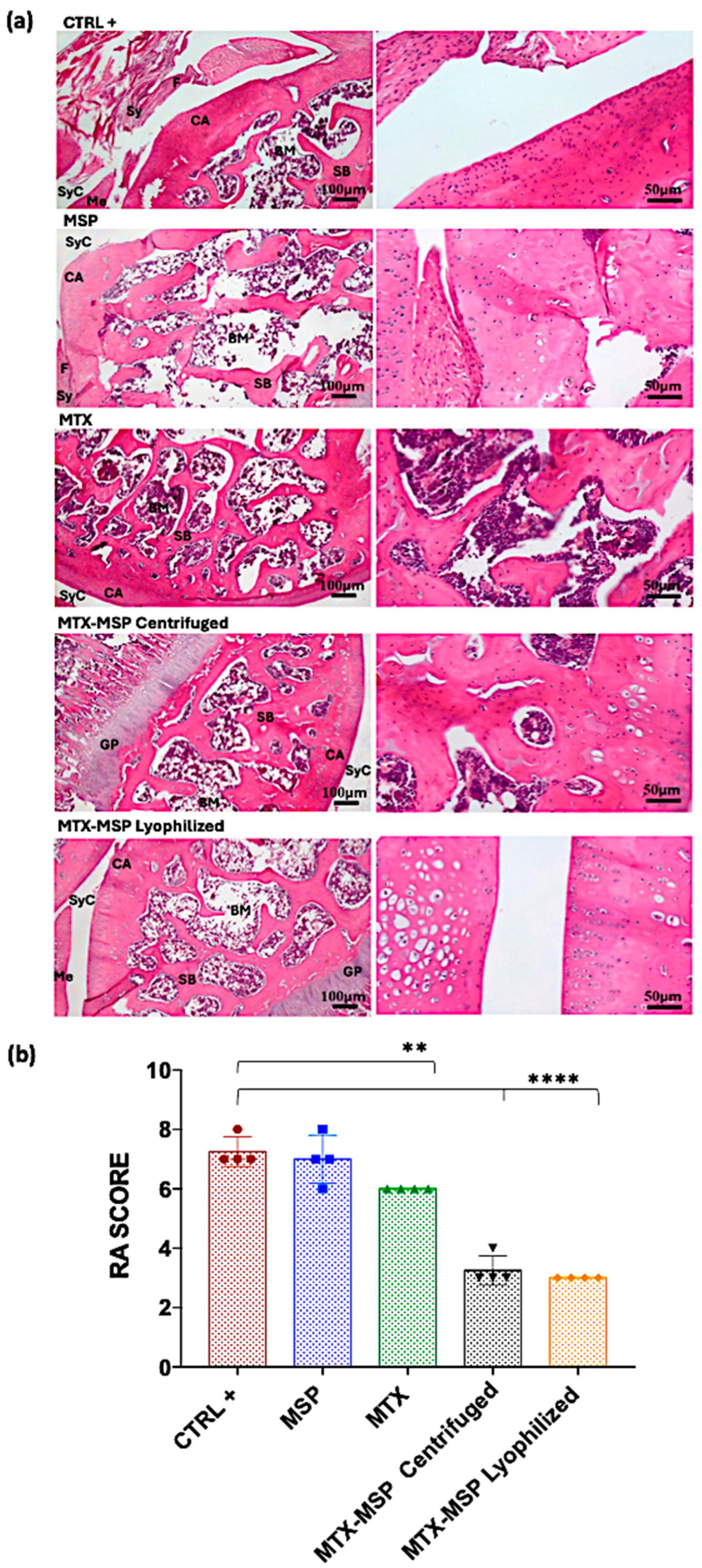 Pharmaceutics 16 01593 g014 Pharmaceutics 16 01593 g014