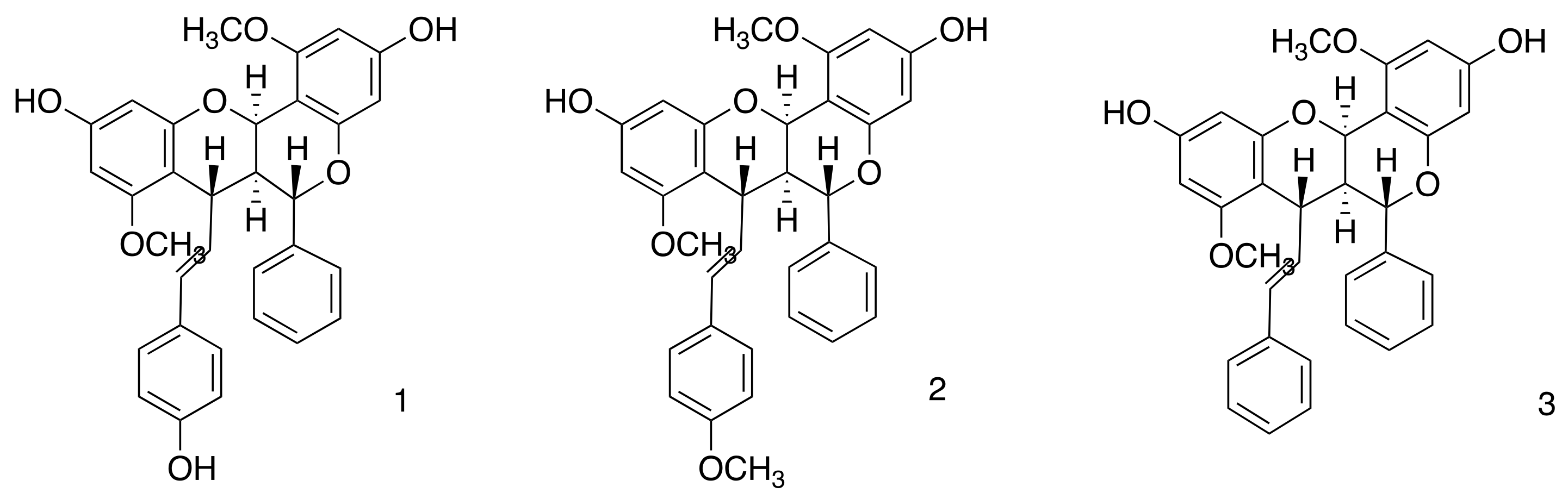 Pharmaceutics 16 01603 g001