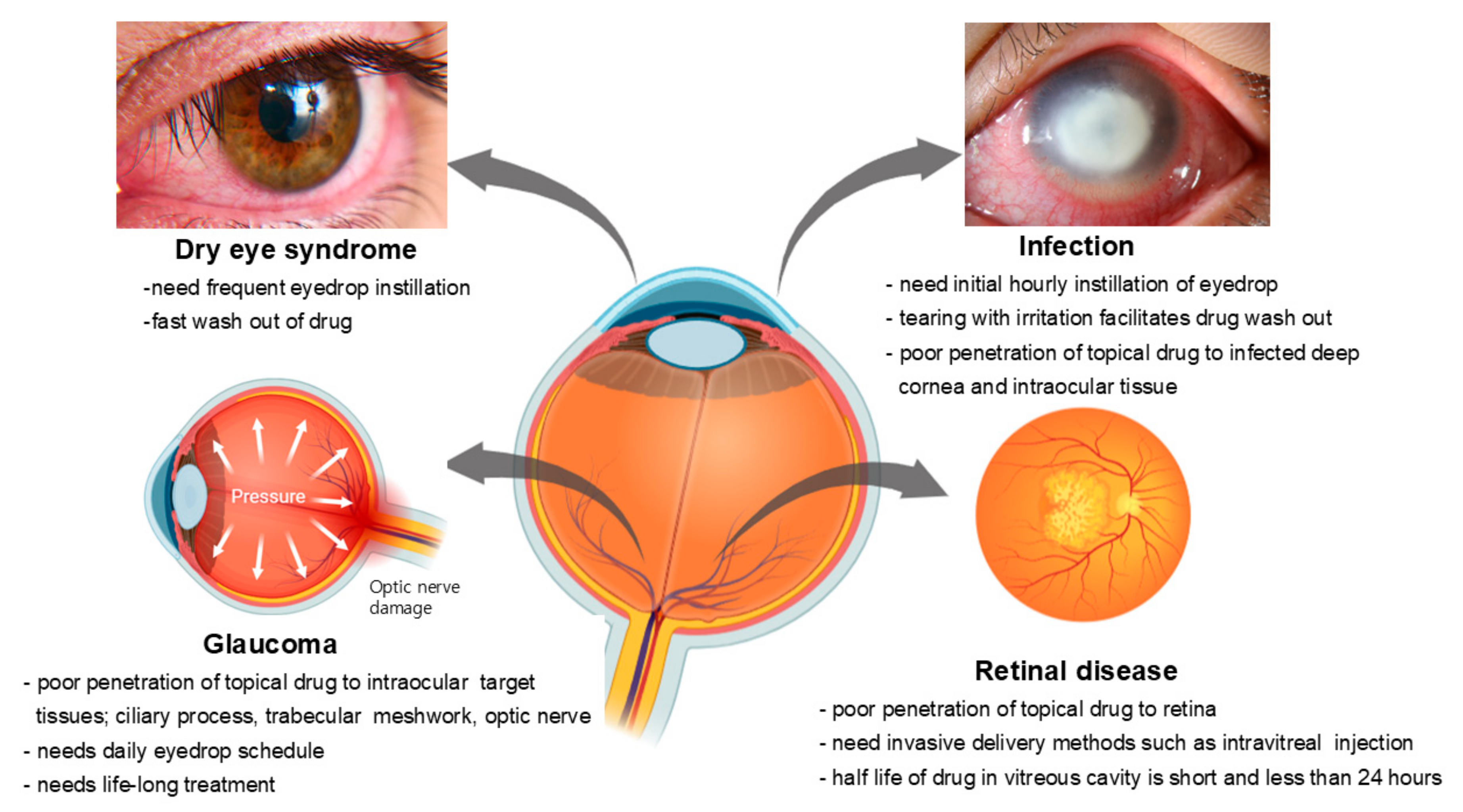 Pharmaceutics 16 01604 g003 Pharmaceutics 16 01604 g003