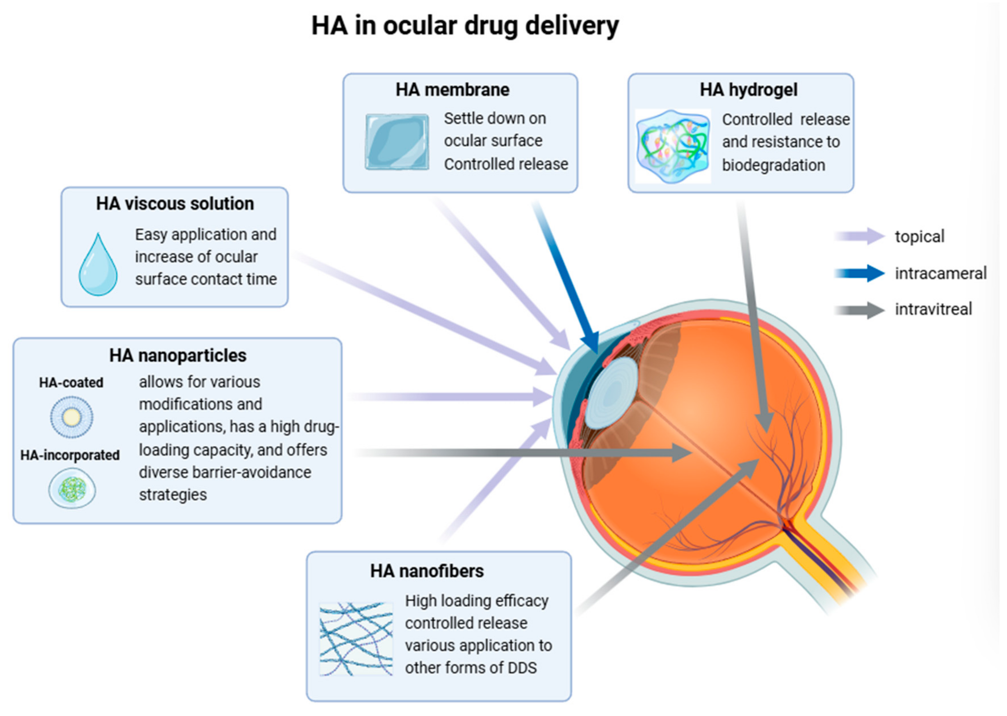 Pharmaceutics 16 01604 g004 Pharmaceutics 16 01604 g004
