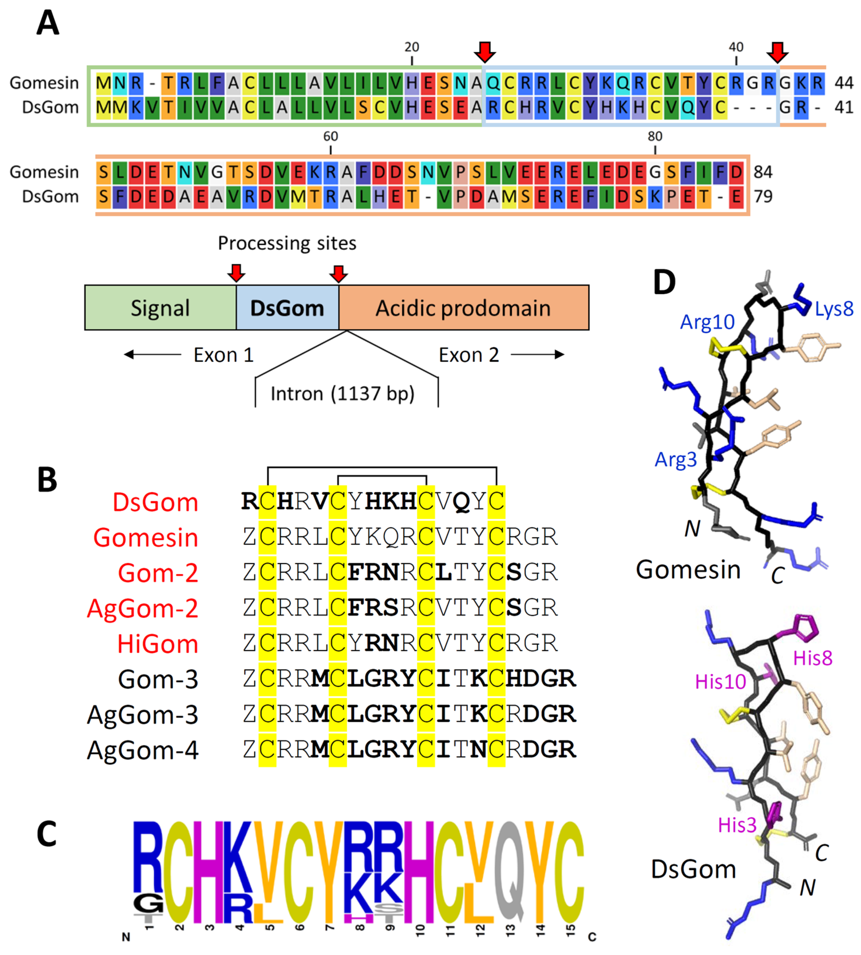 Pharmaceutics 16 01606 g001