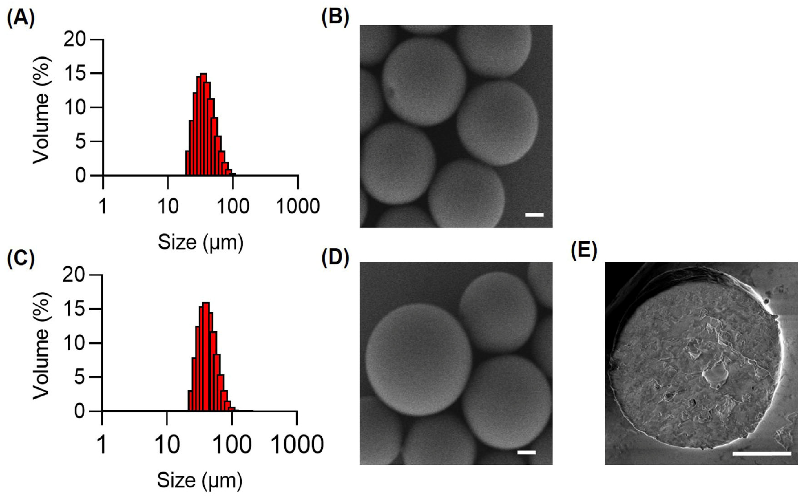 Pharmaceutics 16 01609 g001