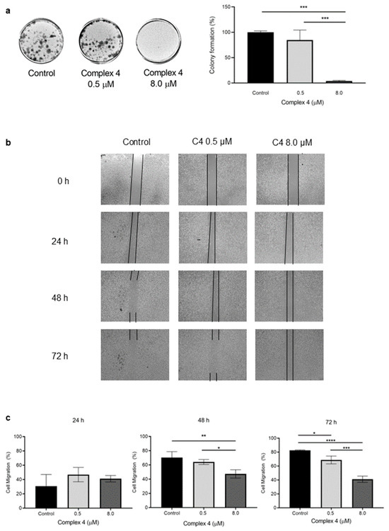 A New Heteroleptic Zn(II) Complex with Schiff Bases Sensitizes