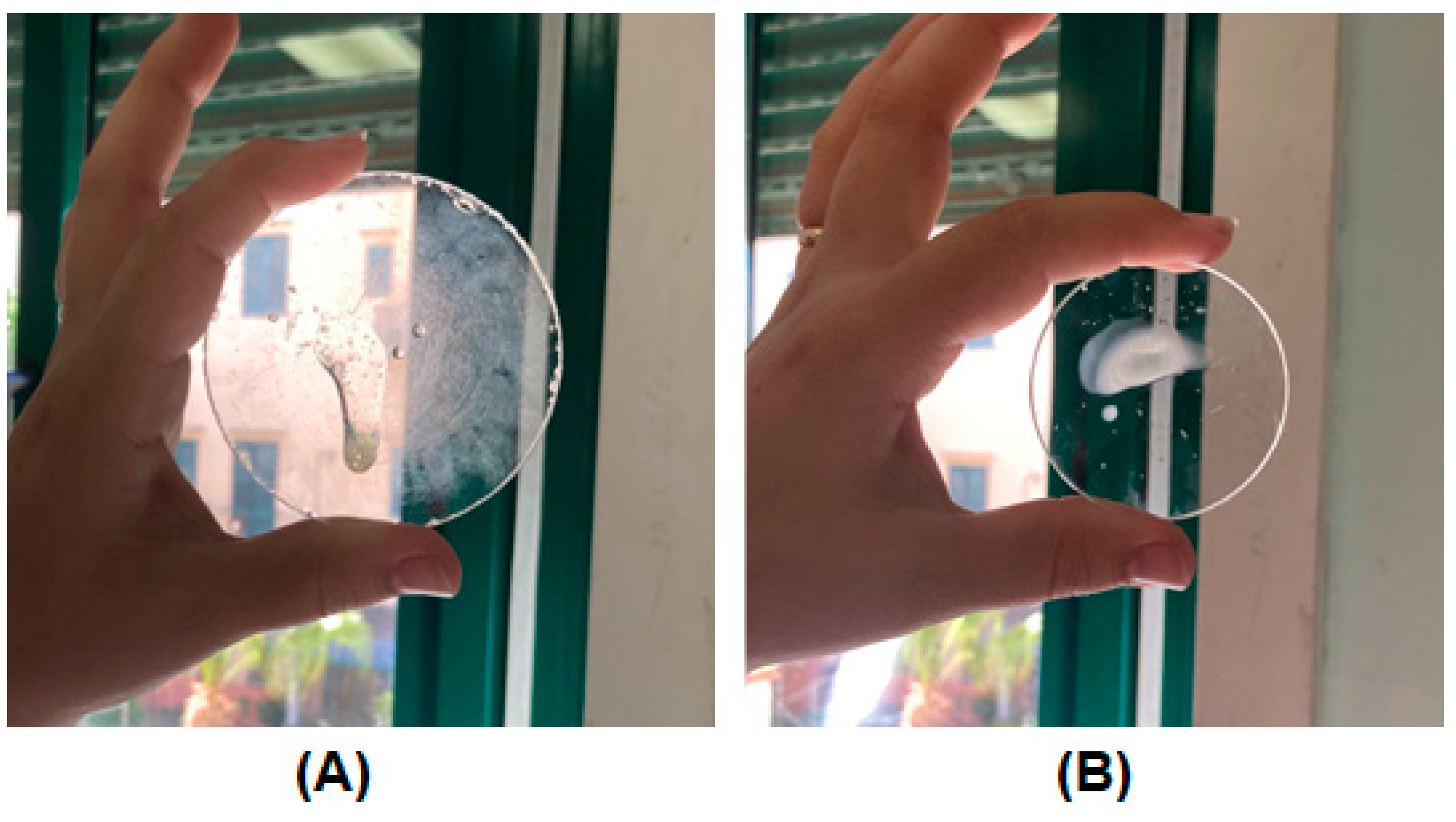 Pharmaceutics 16 01612 g004