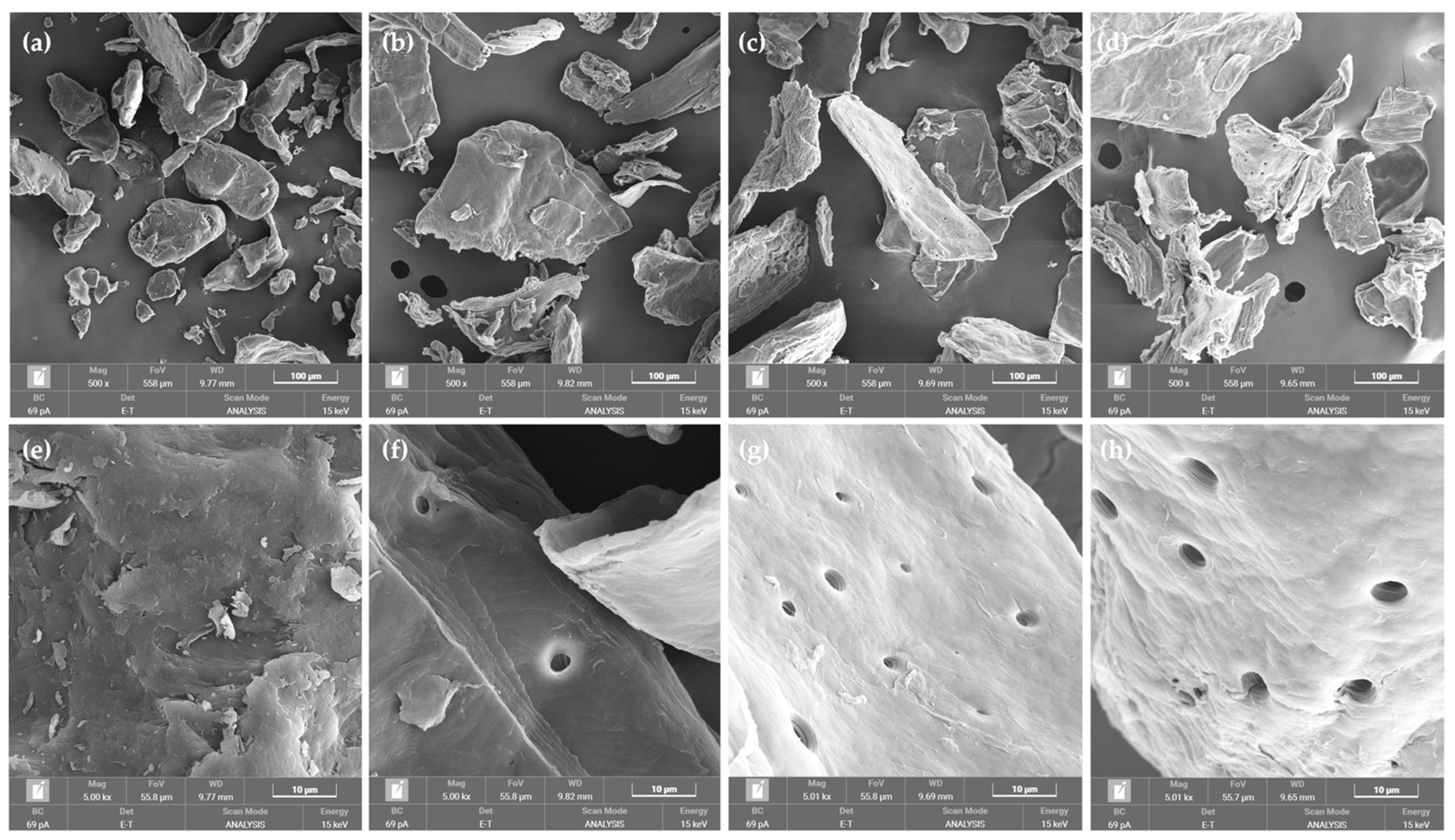 Pharmaceutics 16 01618 g004