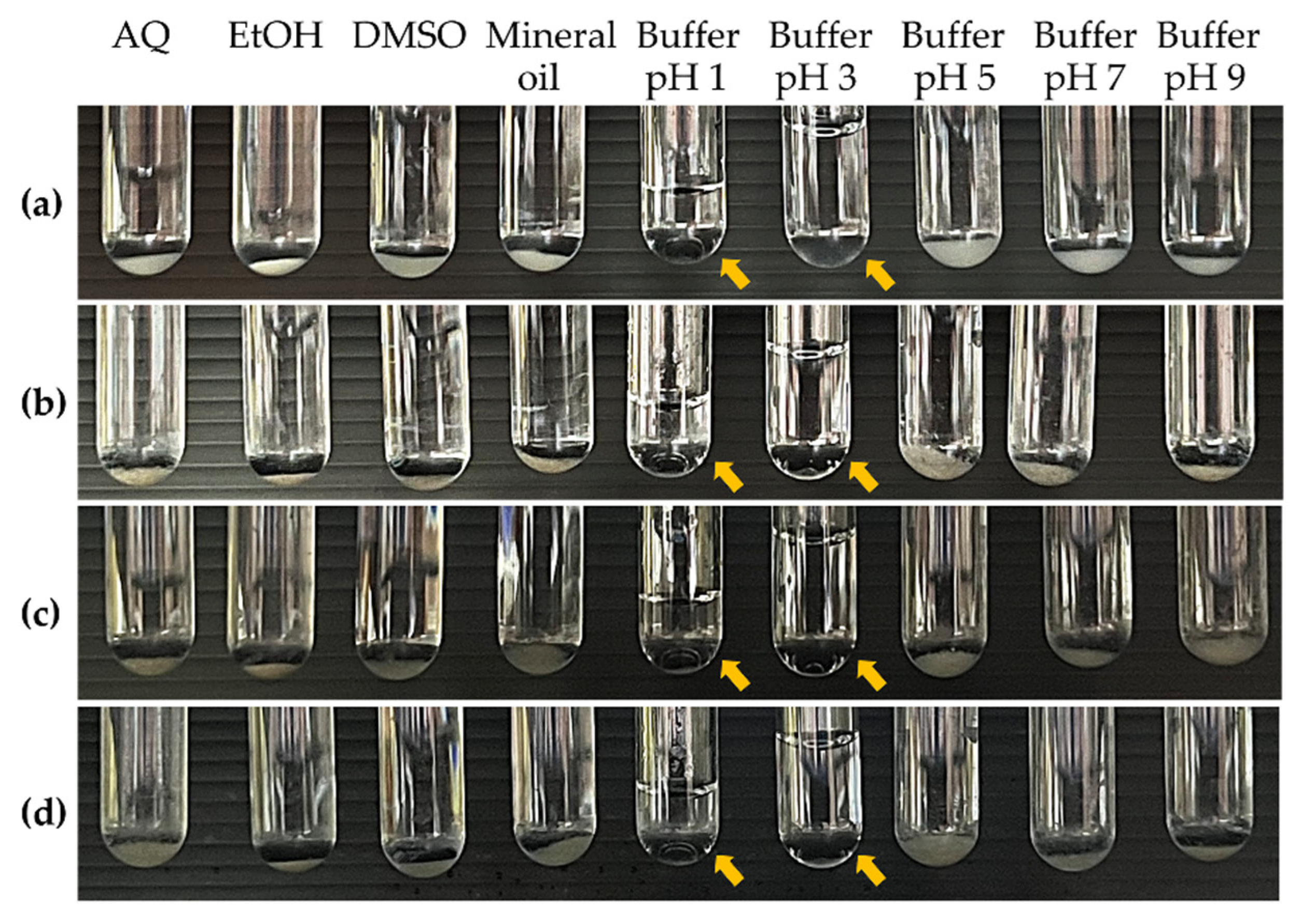 Pharmaceutics 16 01618 g005