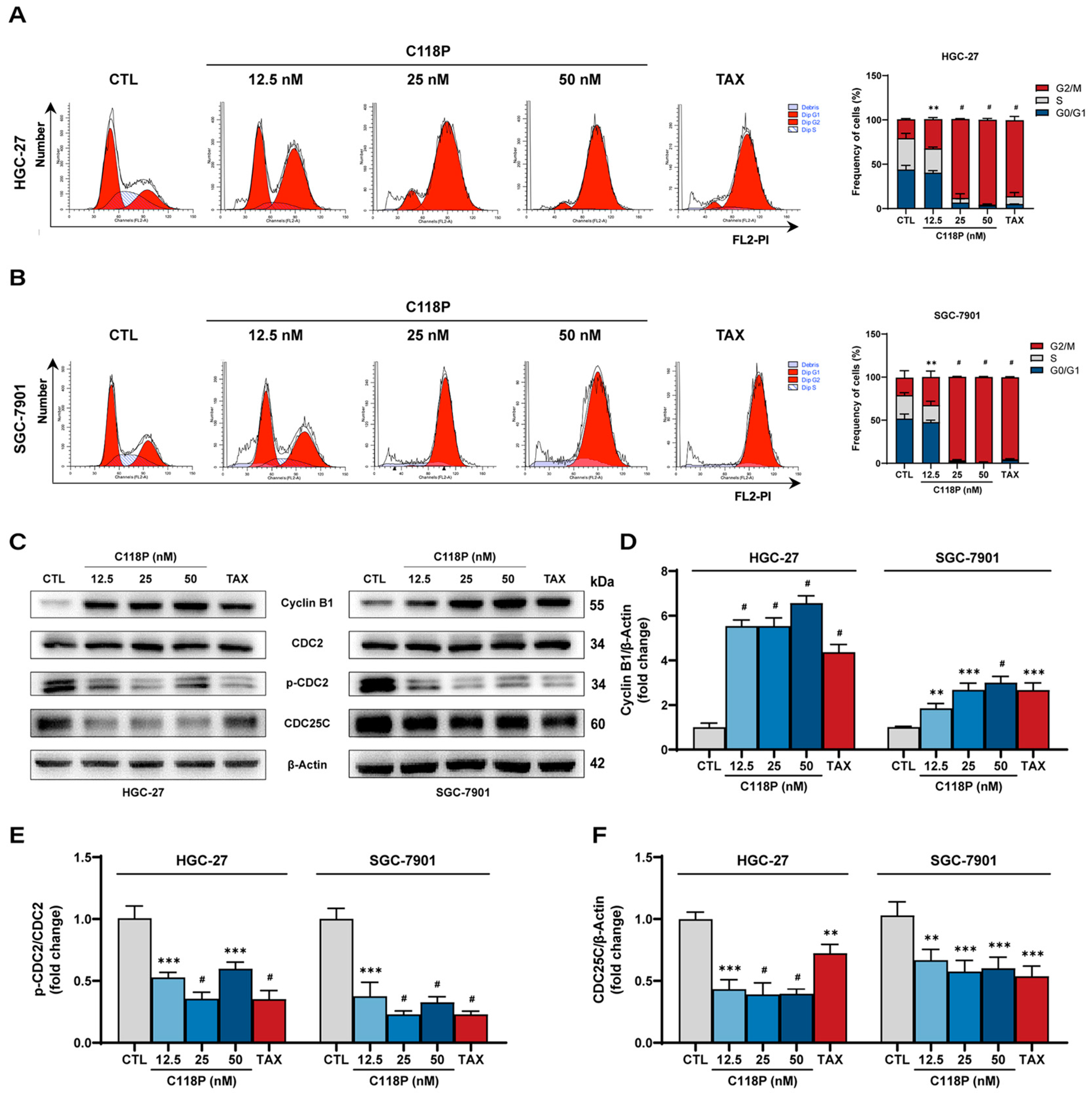 Pharmaceutics 16 01620 g002 Pharmaceutics 16 01620 g002