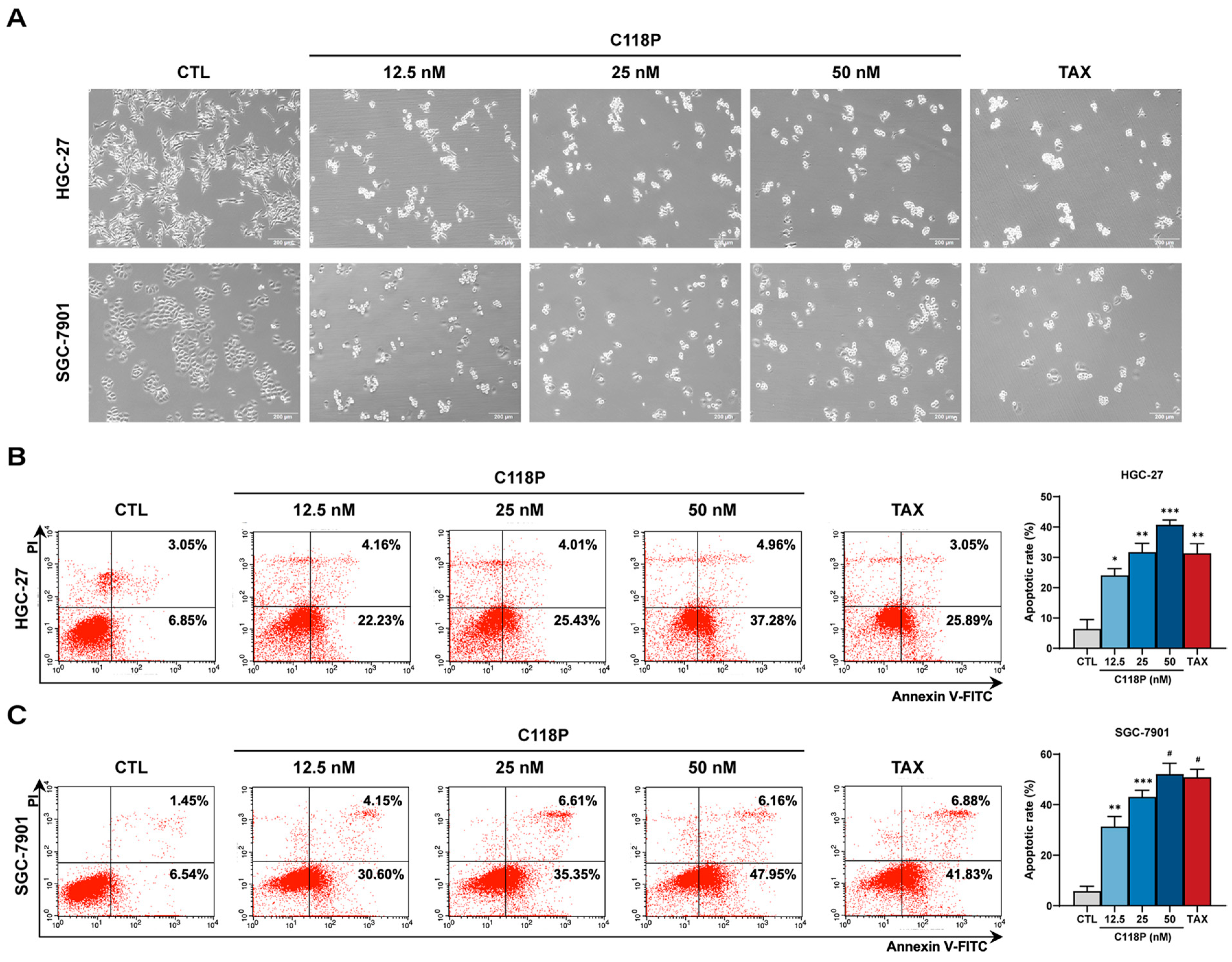 Pharmaceutics 16 01620 g003a Pharmaceutics 16 01620 g003a