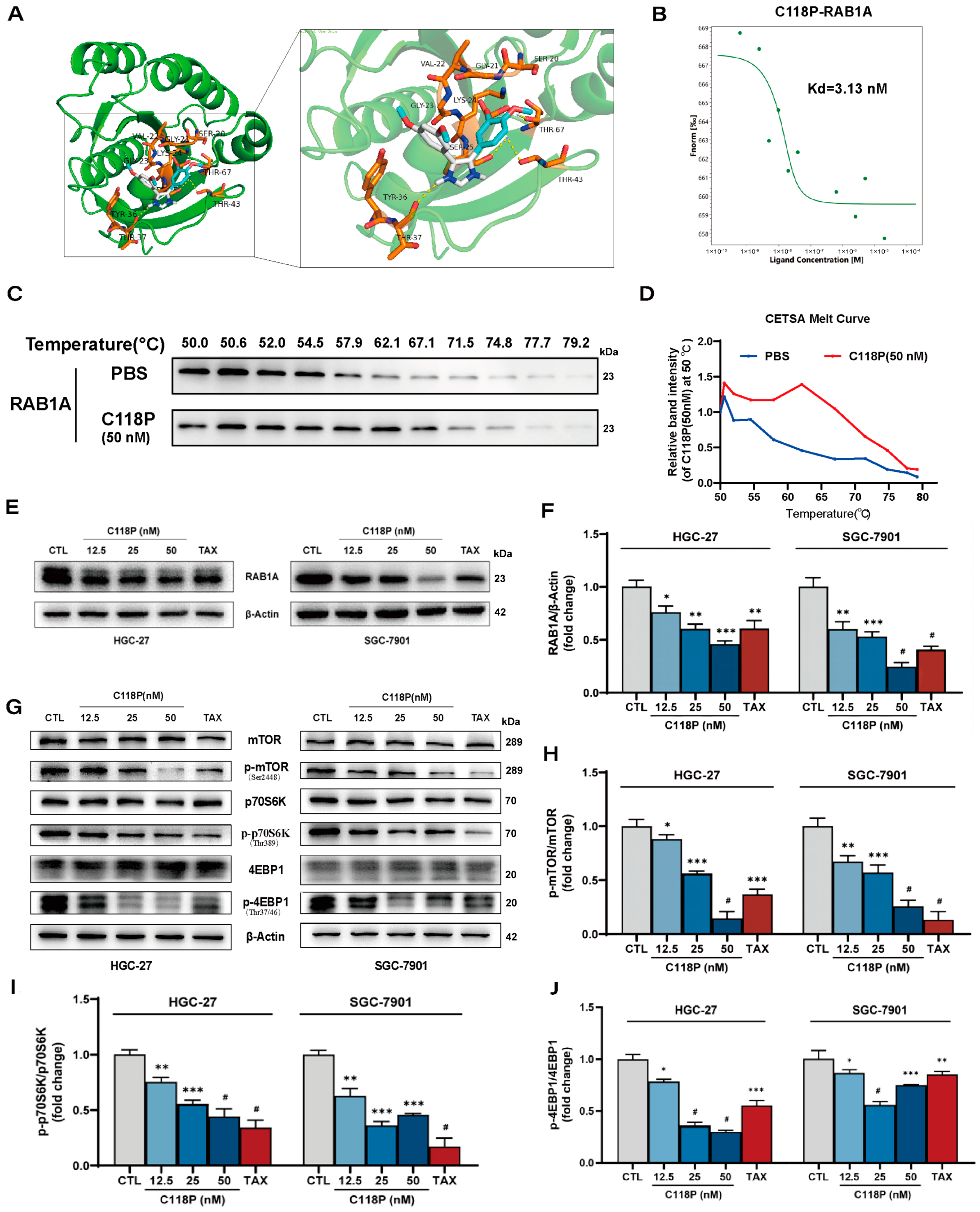 Pharmaceutics 16 01620 g004 Pharmaceutics 16 01620 g004