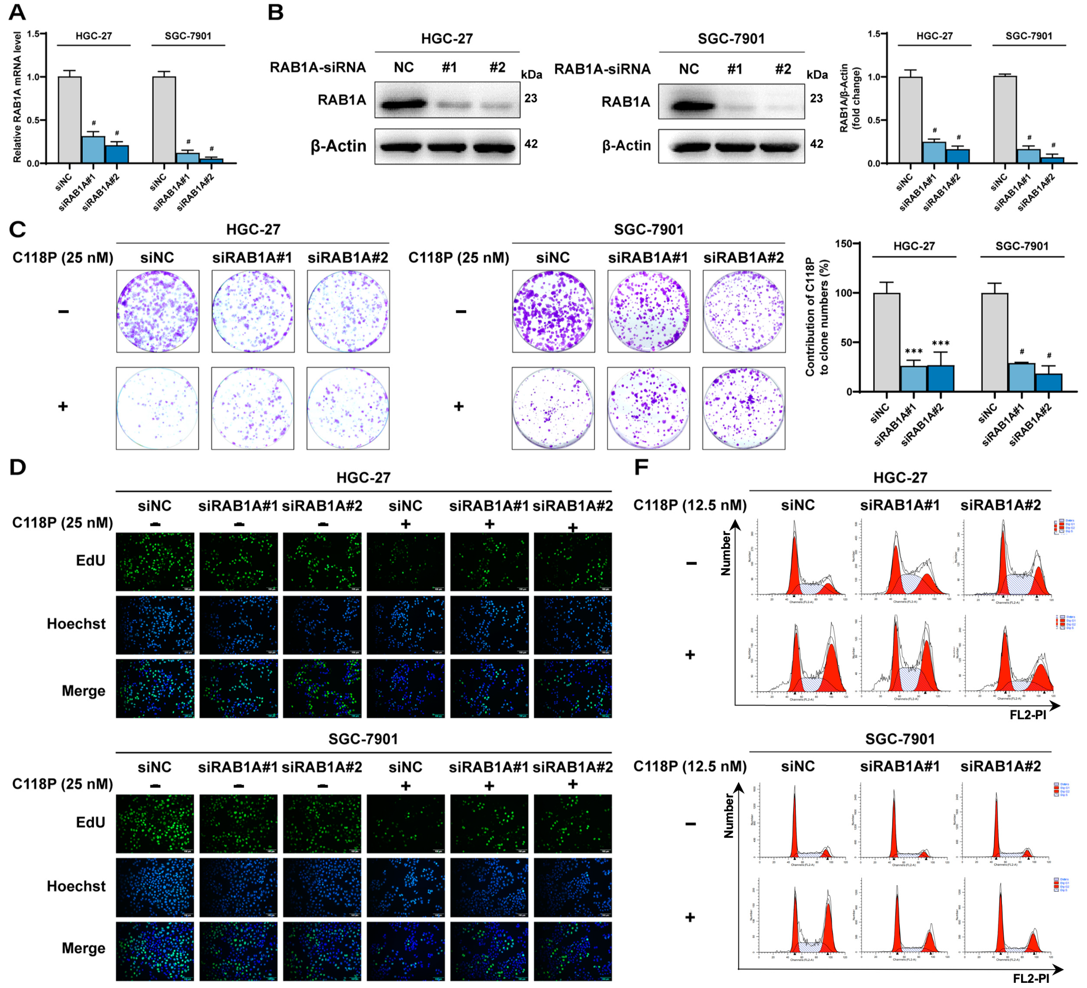 Pharmaceutics 16 01620 g005a Pharmaceutics 16 01620 g005a