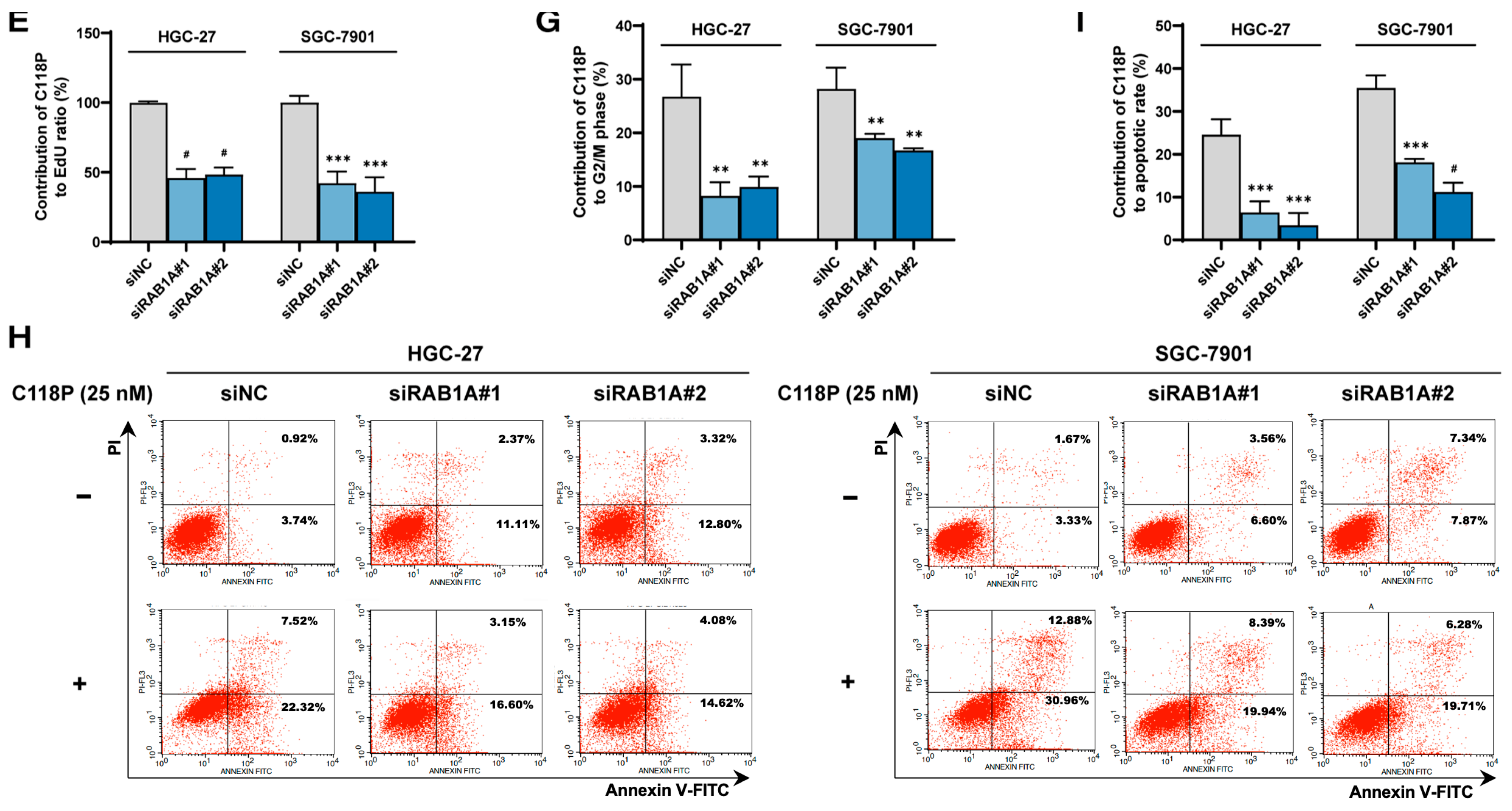 Pharmaceutics 16 01620 g005b Pharmaceutics 16 01620 g005b