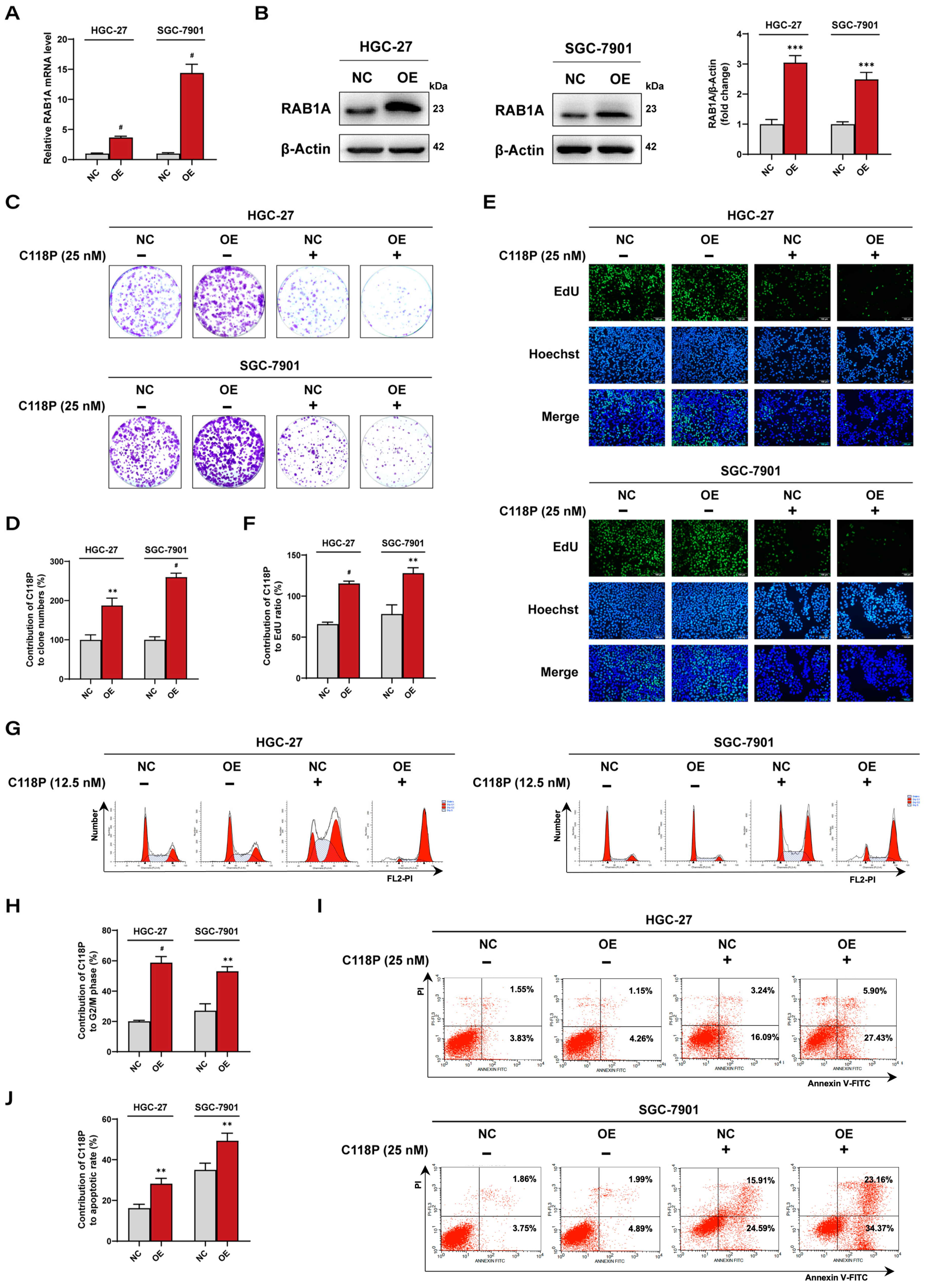 Pharmaceutics 16 01620 g006 Pharmaceutics 16 01620 g006