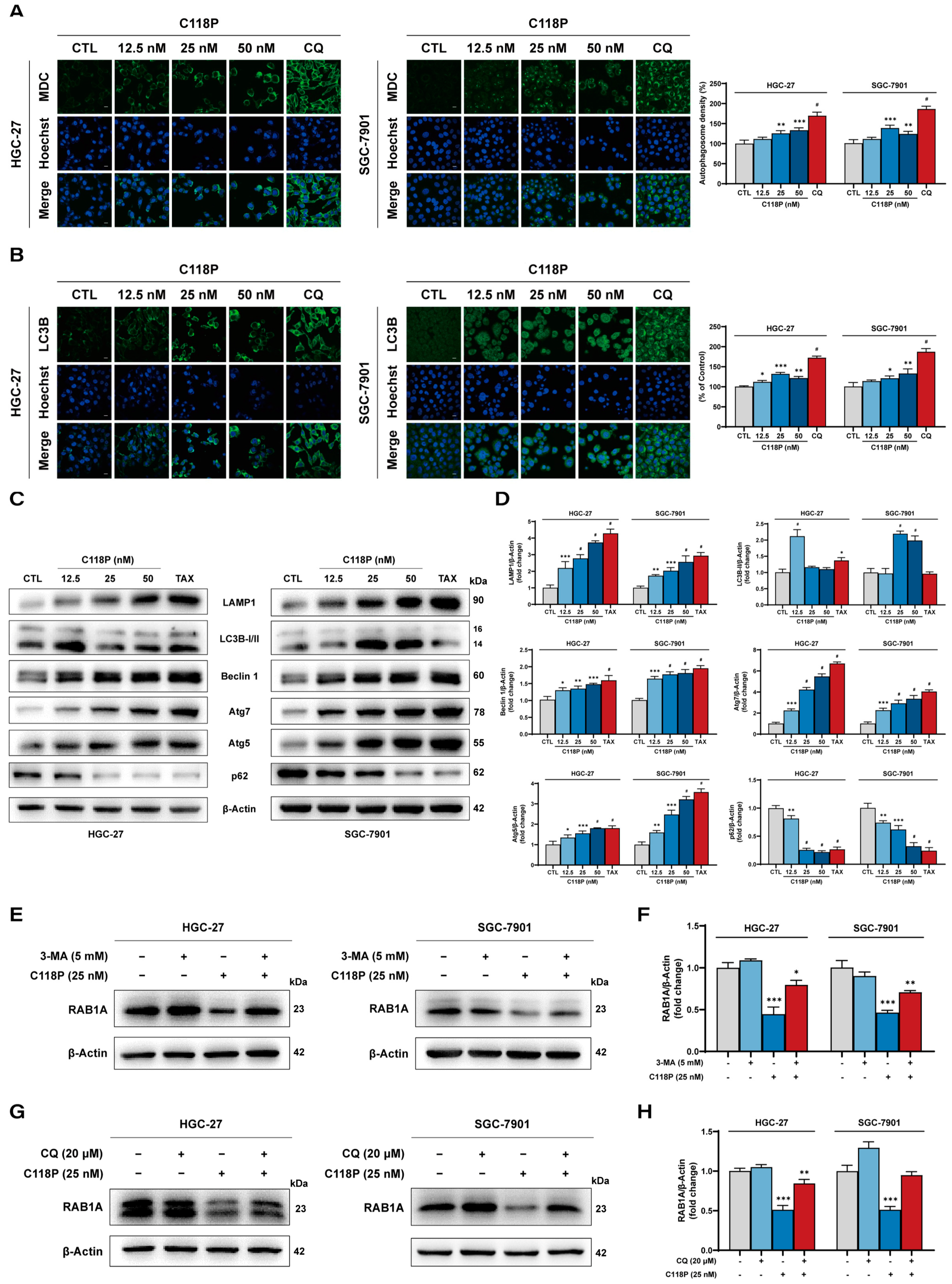 Pharmaceutics 16 01620 g007 Pharmaceutics 16 01620 g007