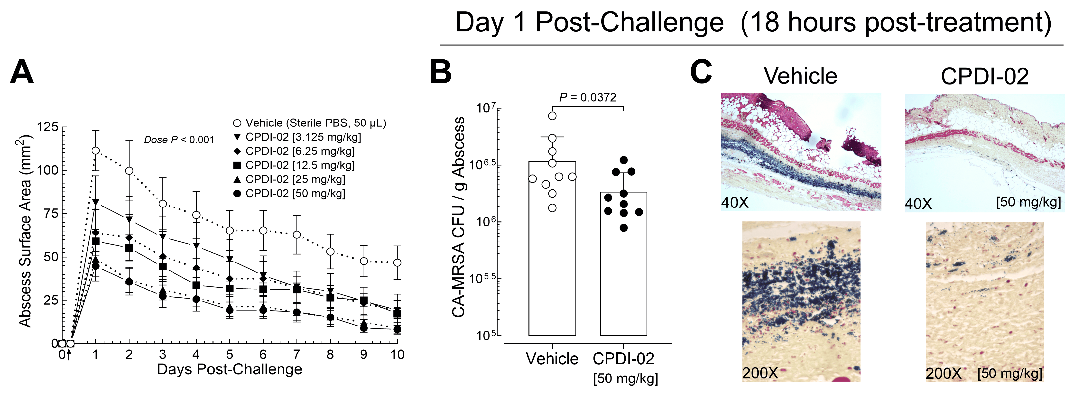 Pharmaceutics 16 01621 g002