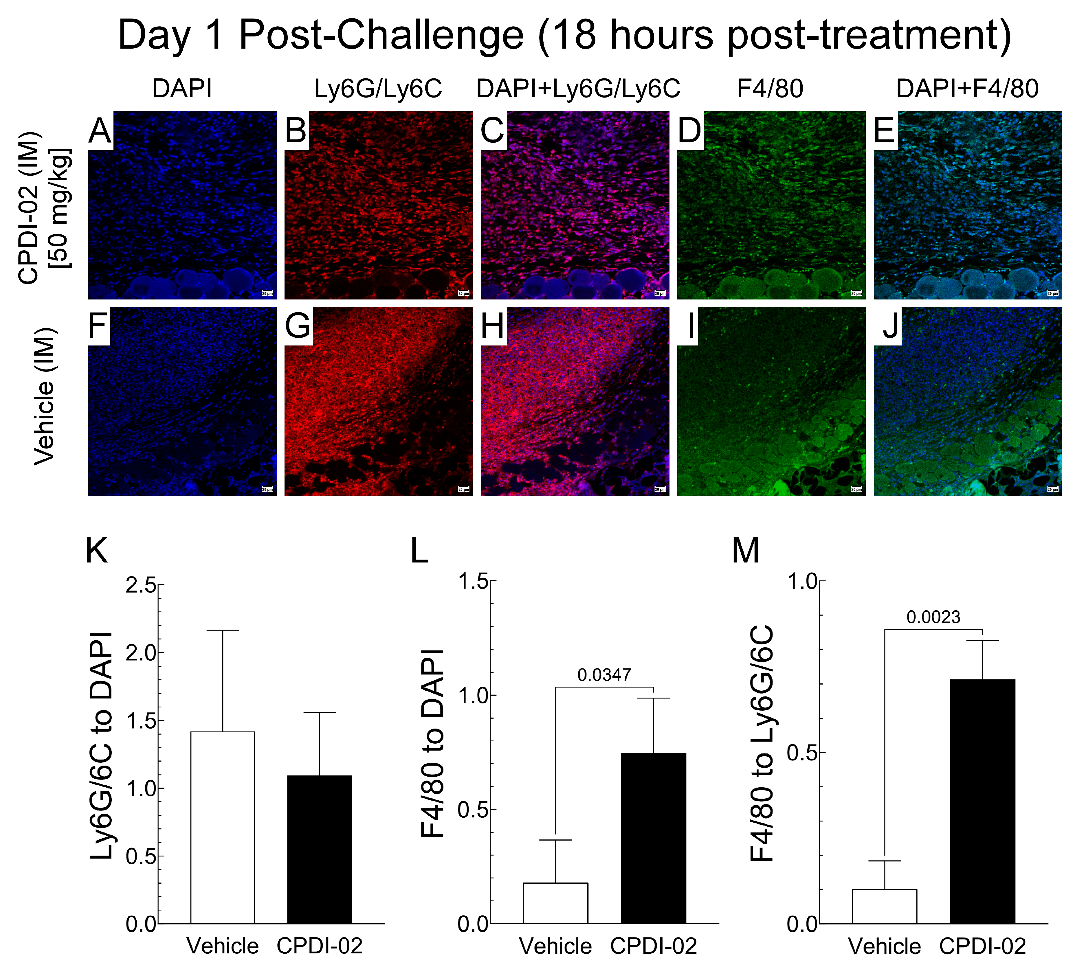Pharmaceutics 16 01621 g003