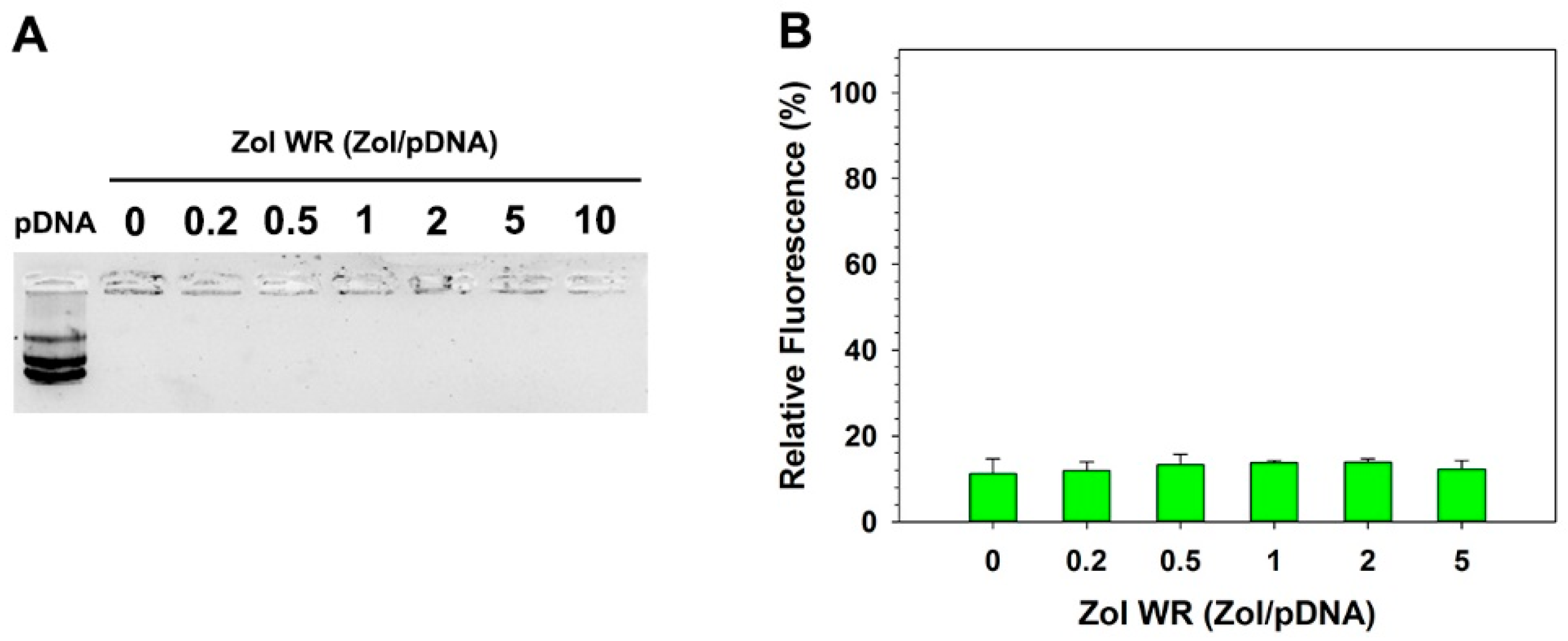Pharmaceutics 16 01623 g001