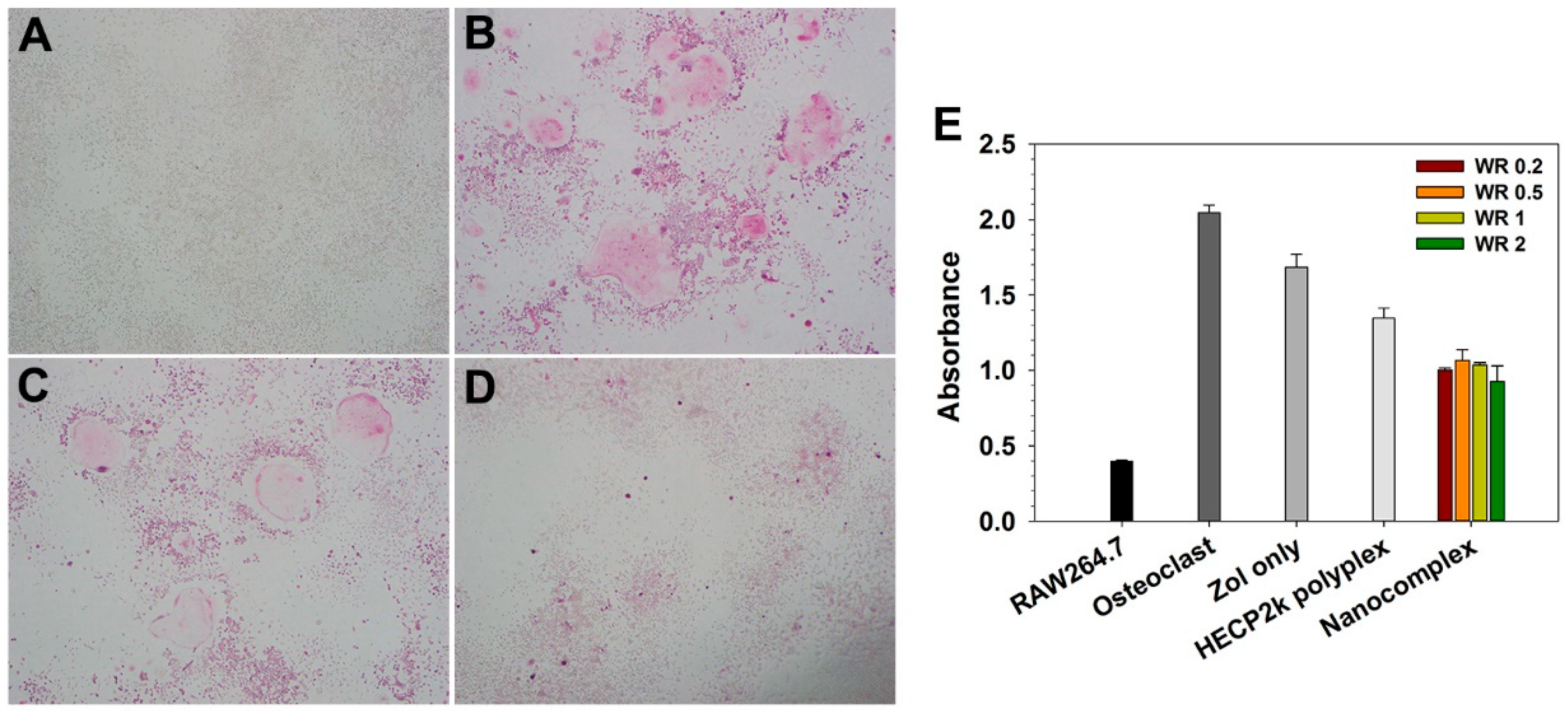Pharmaceutics 16 01623 g006