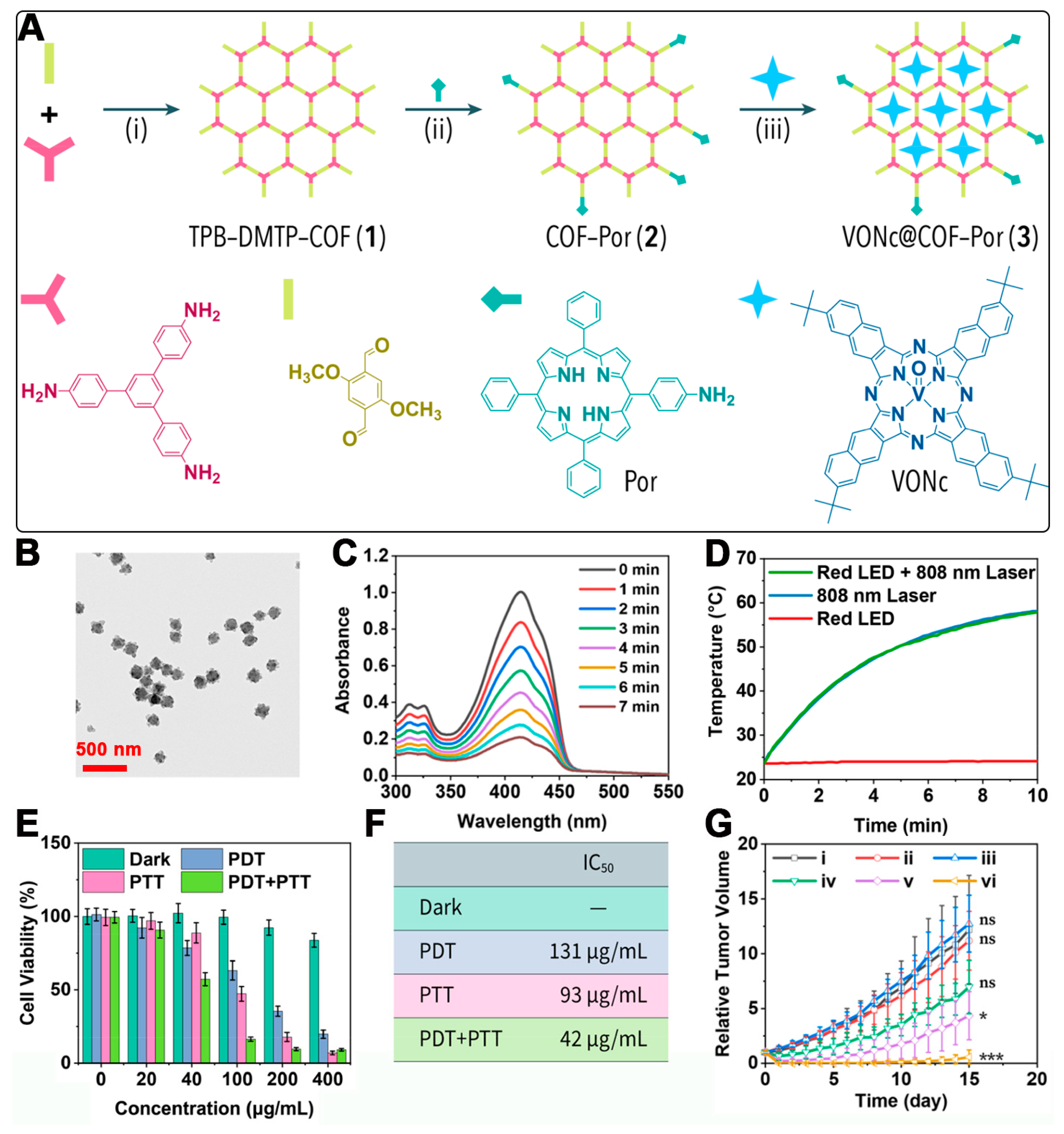 Pharmaceutics 16 01625 g002