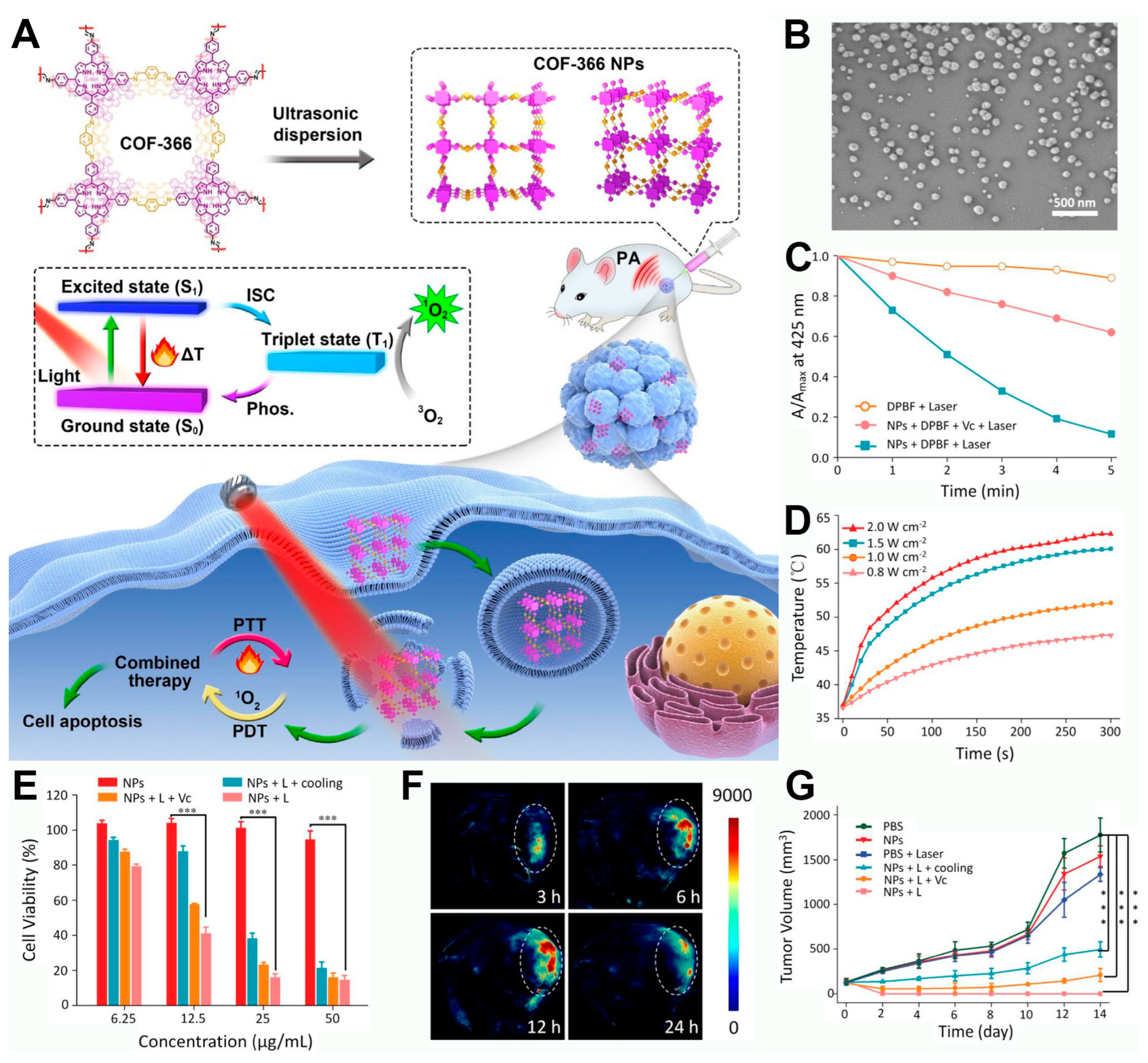 Pharmaceutics 16 01625 g004