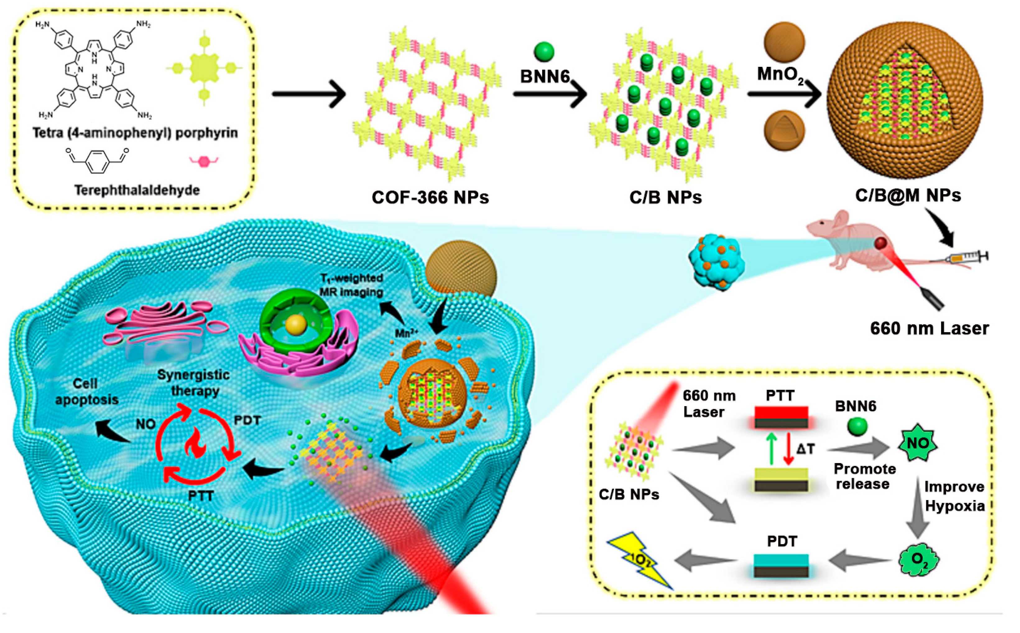Pharmaceutics 16 01625 g005
