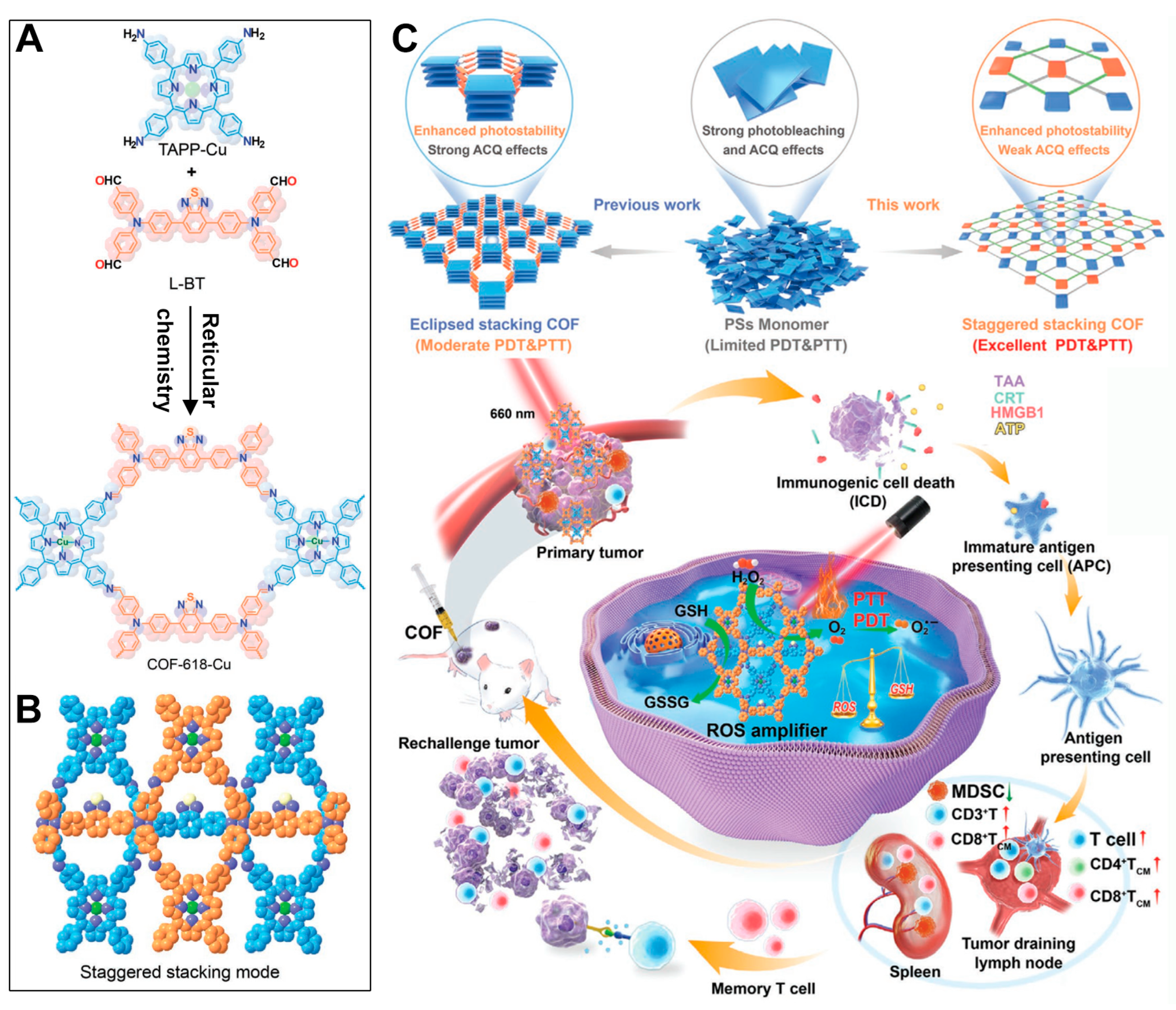 Pharmaceutics 16 01625 g006