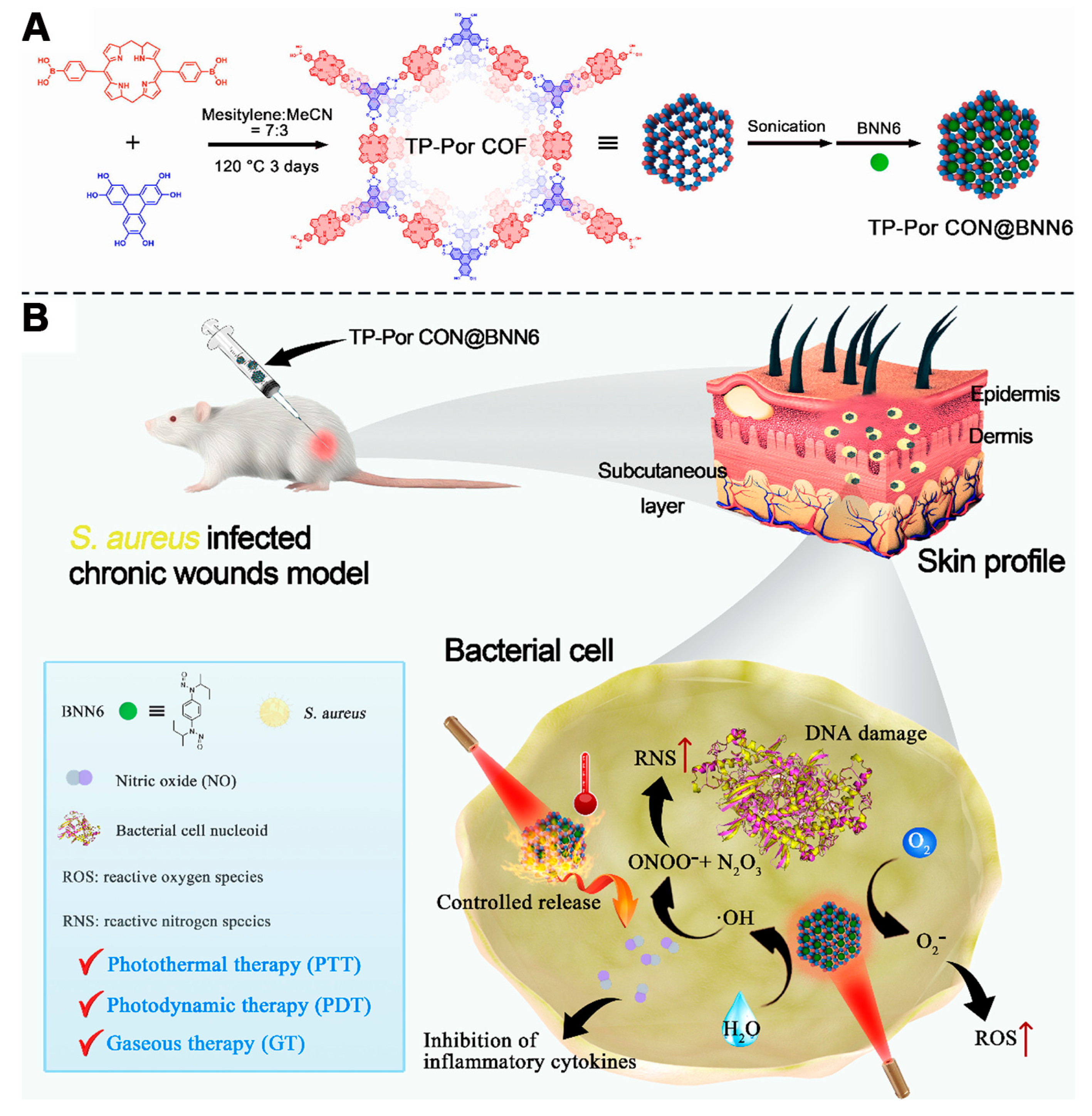 Pharmaceutics 16 01625 g008