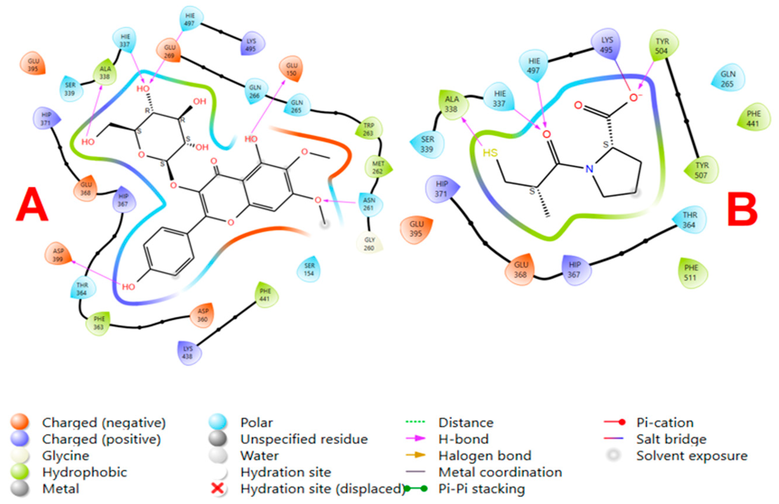 Pharmaceutics 16 01628 g002