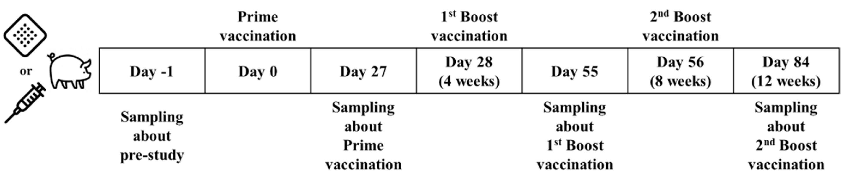 Pharmaceutics 16 01631 g002 Pharmaceutics 16 01631 g002