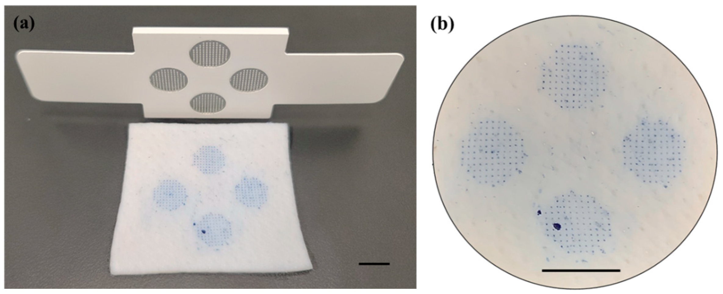 Pharmaceutics 16 01631 g004 Pharmaceutics 16 01631 g004