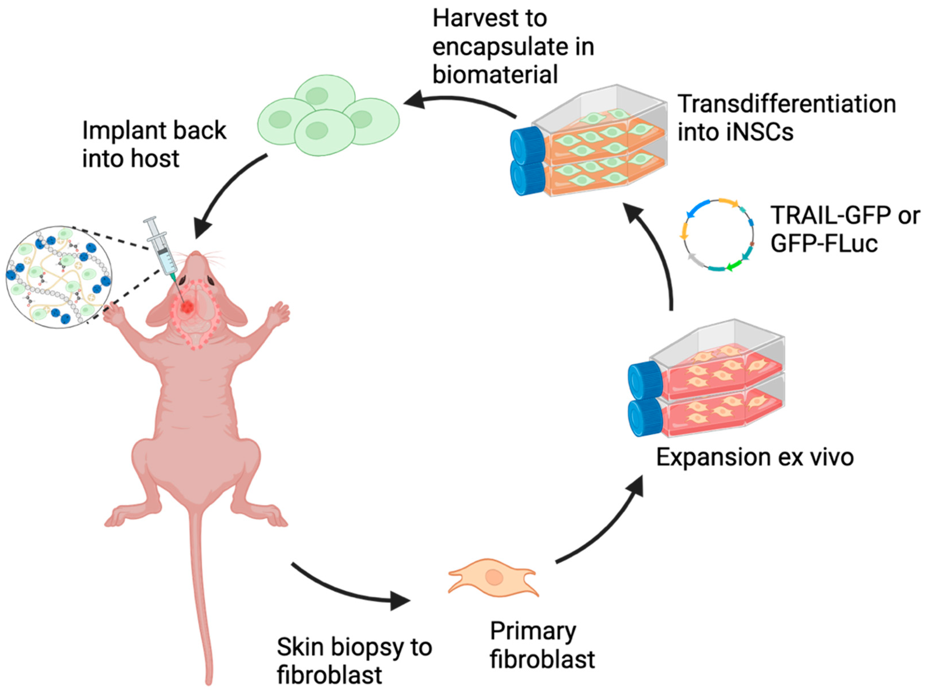 Pharmaceutics 17 00003 g002