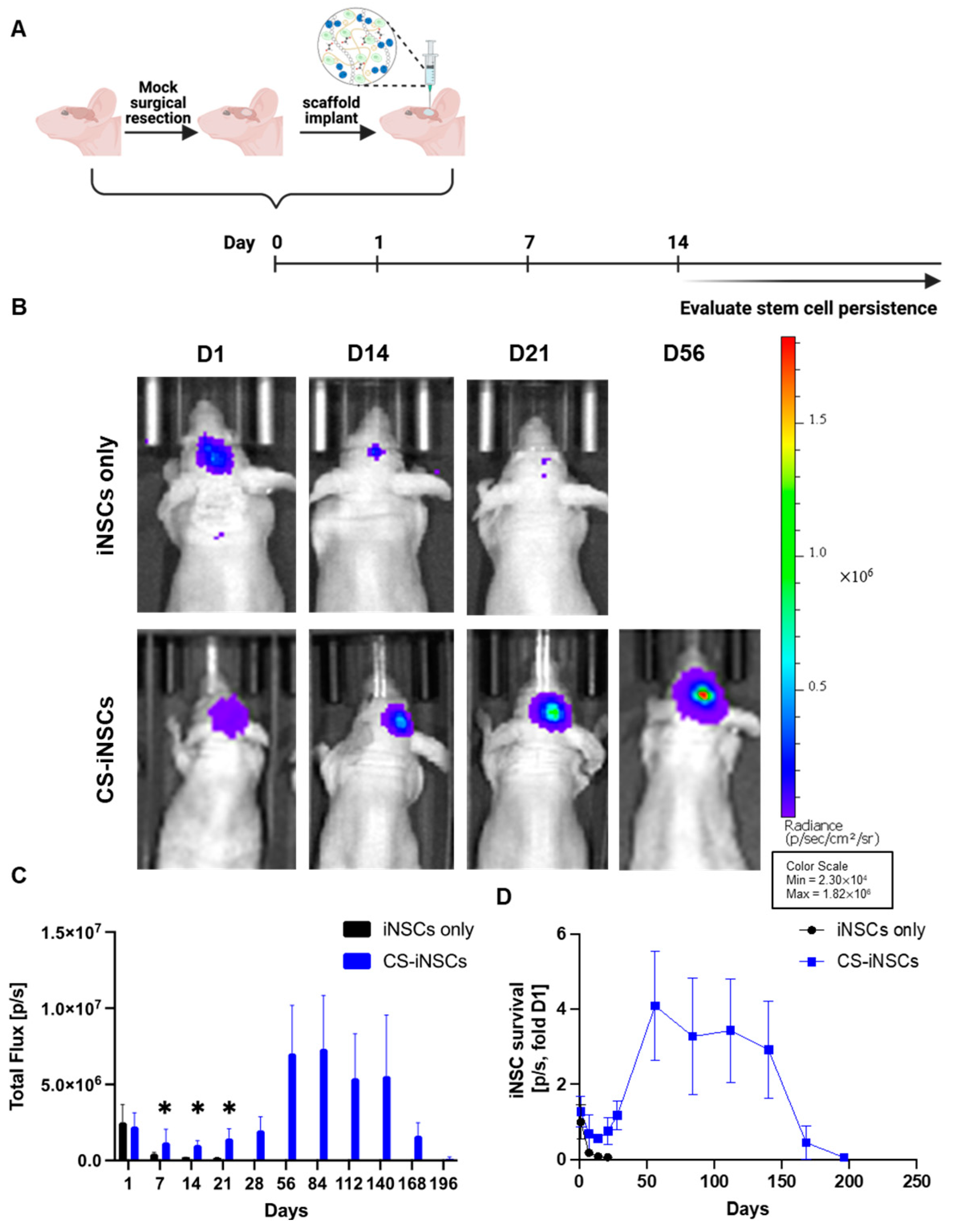Pharmaceutics 17 00003 g004