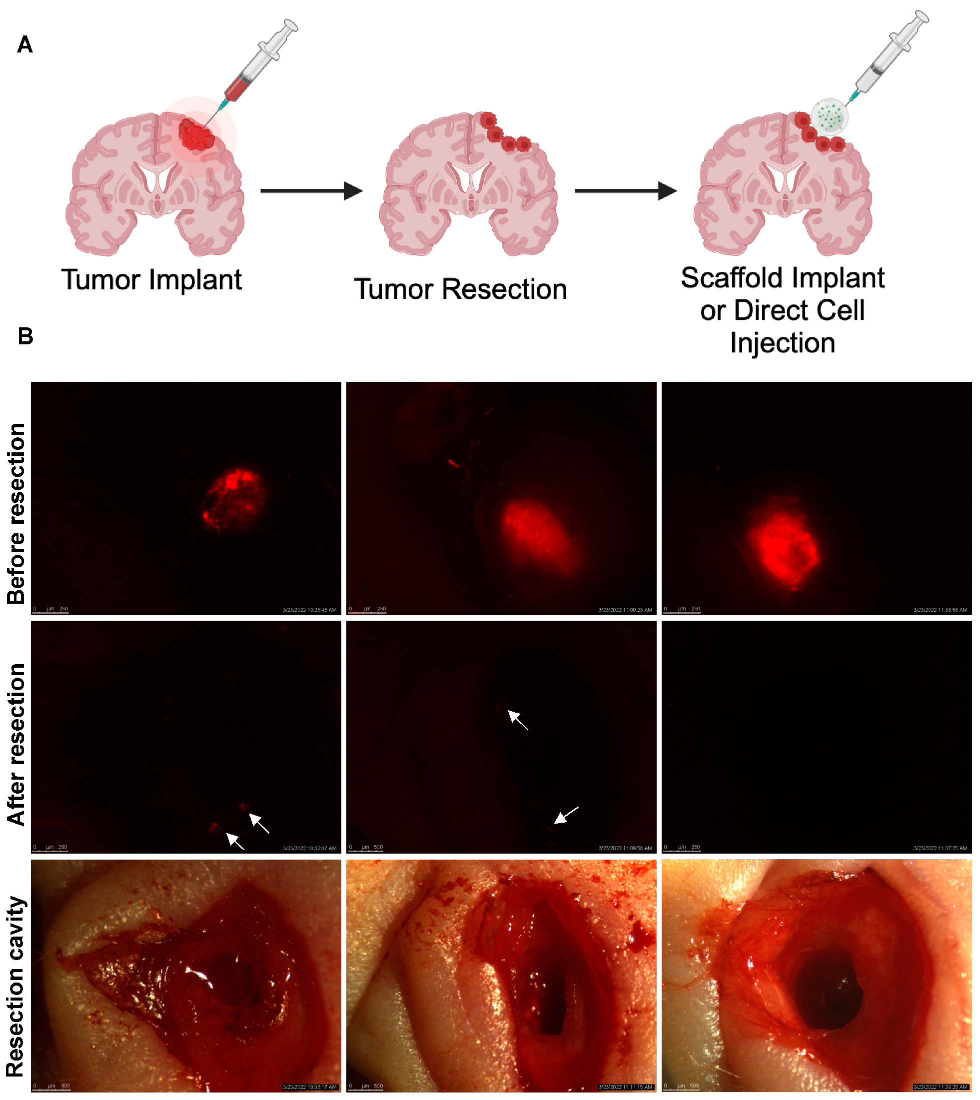 Pharmaceutics 17 00003 g006