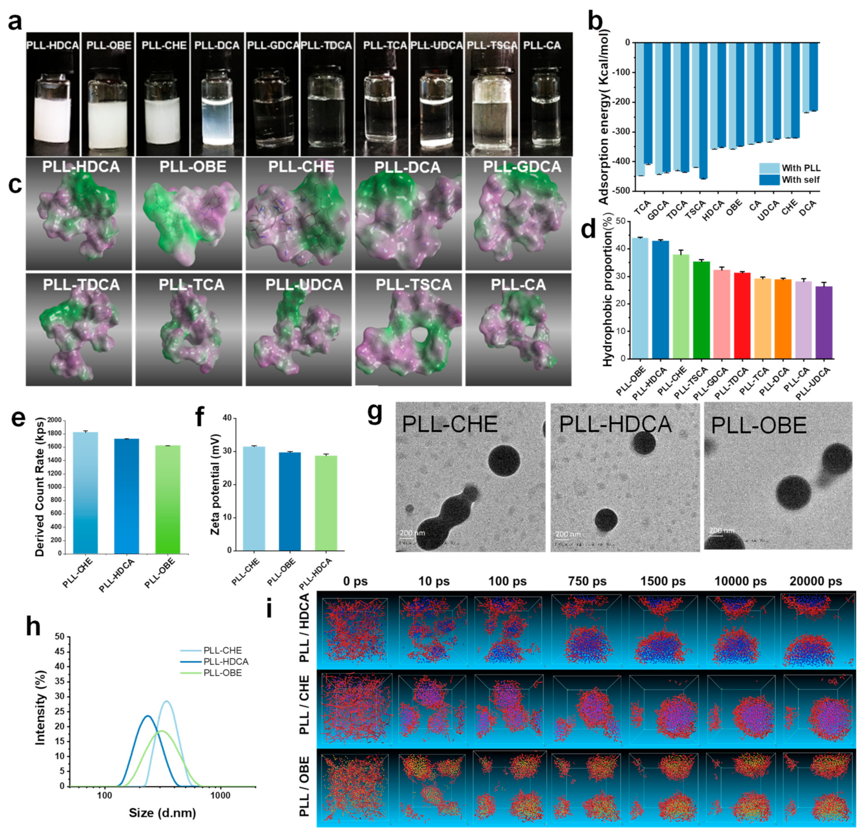 Pharmaceutics 17 00007 g002