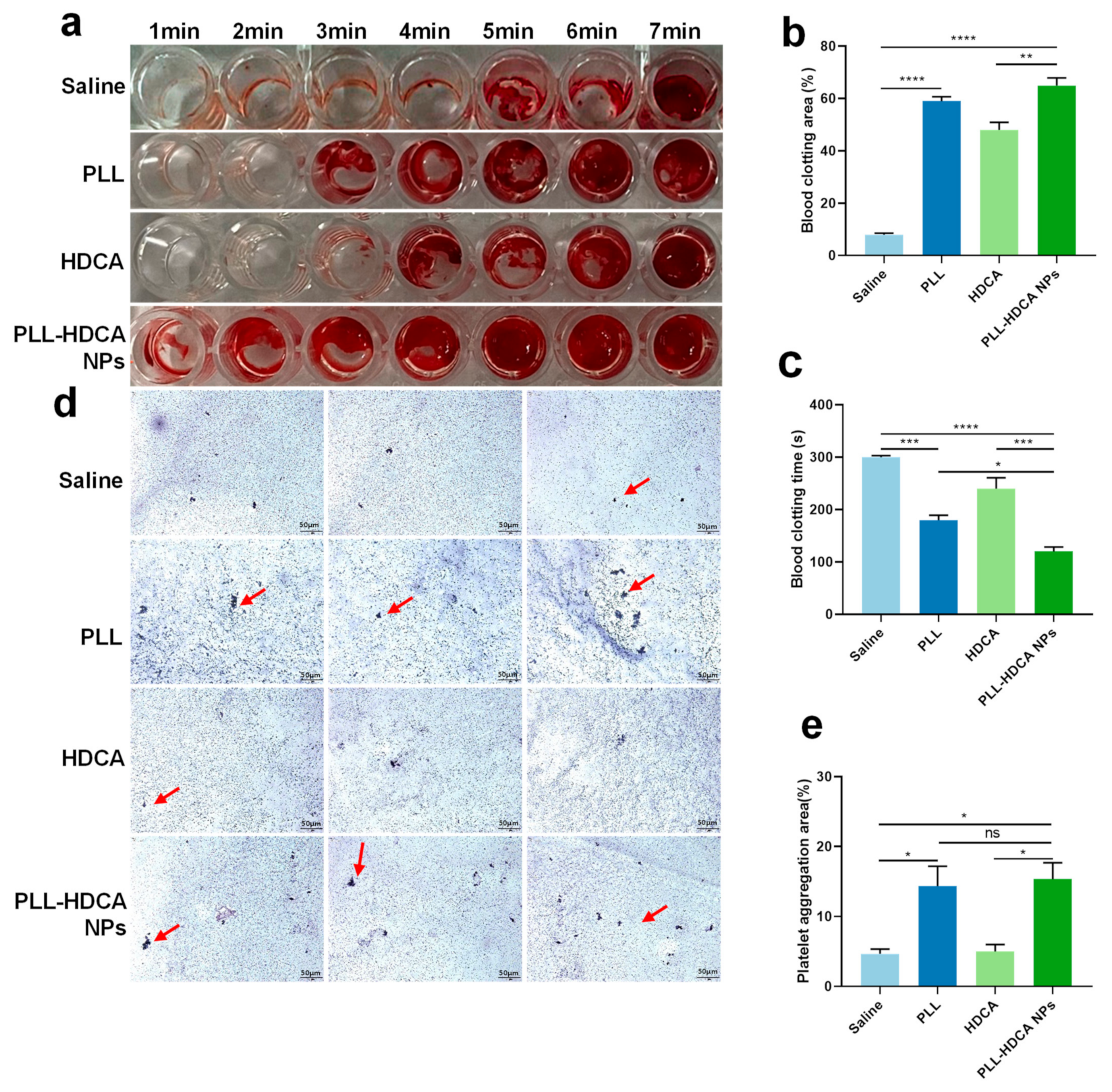 Pharmaceutics 17 00007 g005