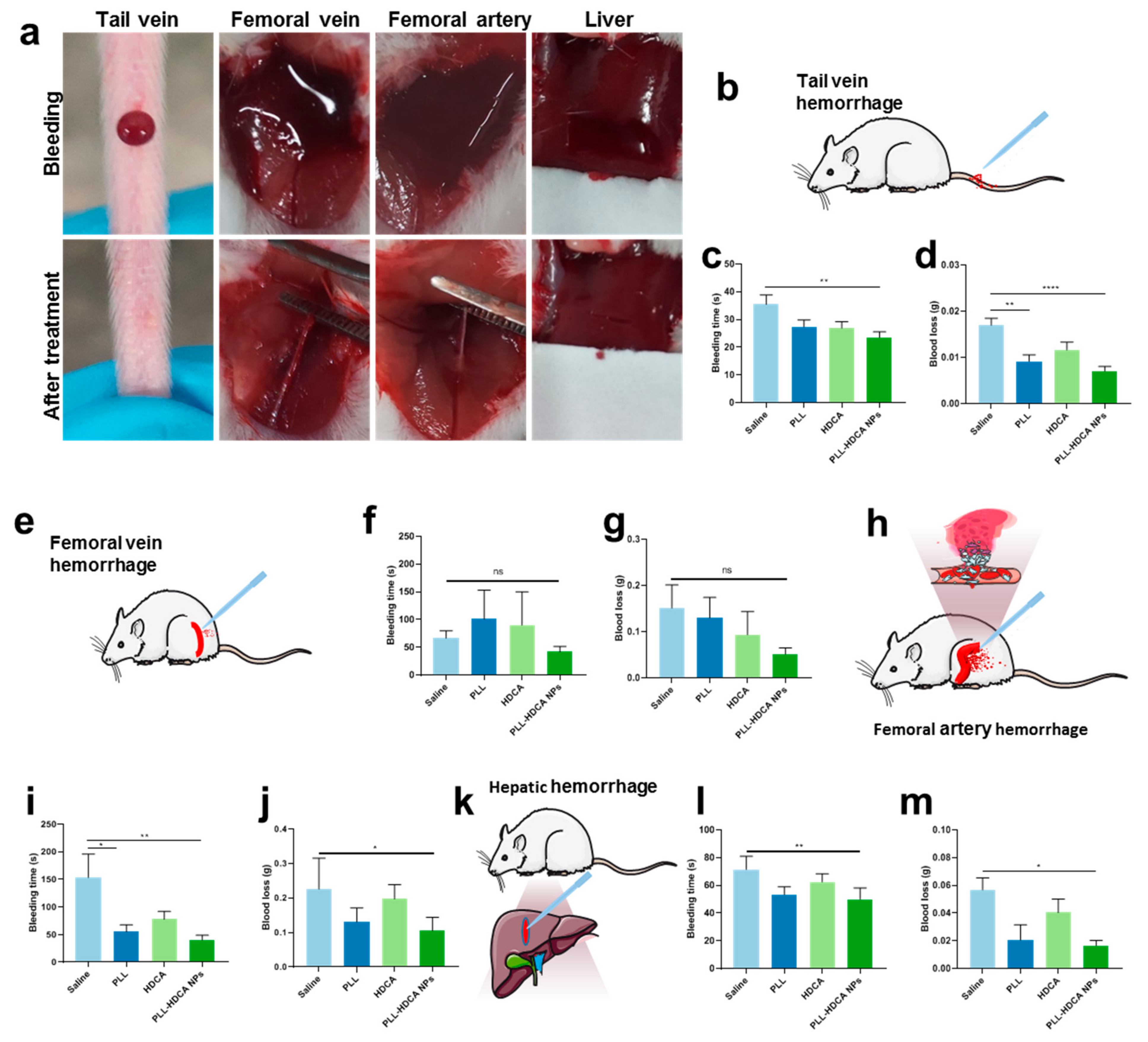 Pharmaceutics 17 00007 g006