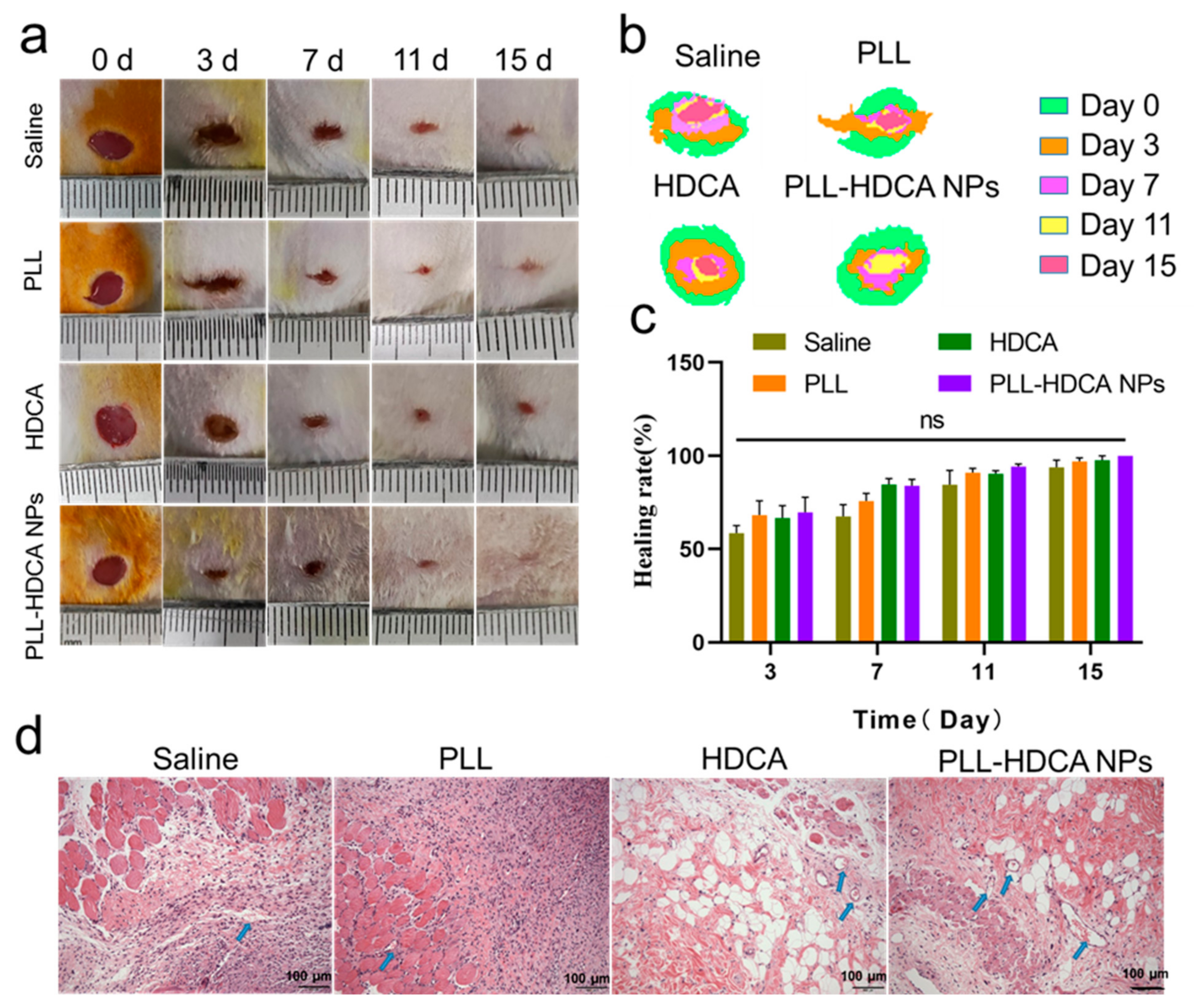 Pharmaceutics 17 00007 g008
